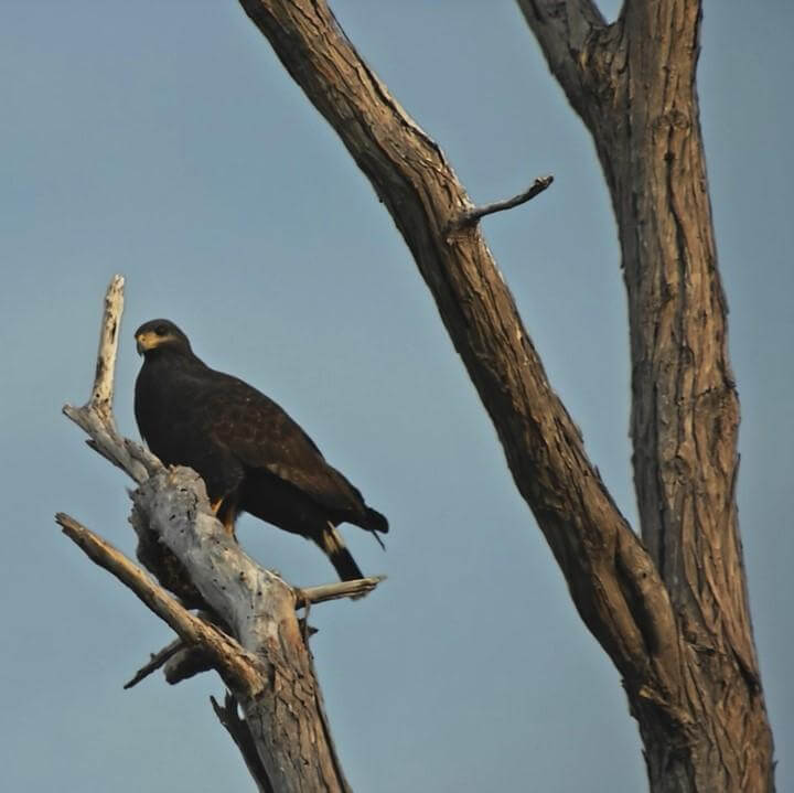 Erick Meyenberg. Toda la noche se oyeron pasar p&aacute;jaros | Exposiciones | Museo Amparo, Puebla.
