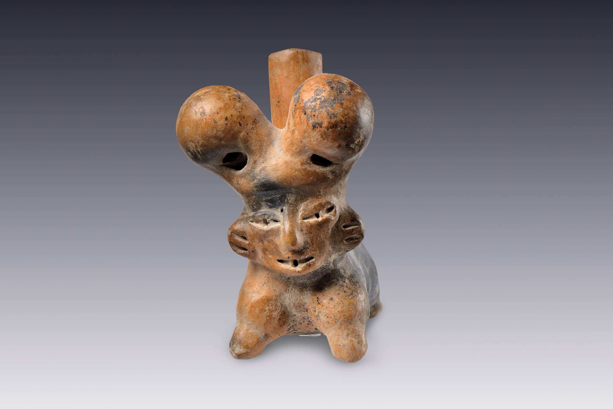 Silbato doble integrado en una efigie zoomorfa | El México antiguo. Salas de Arte Prehispánico | Museo Amparo, Puebla