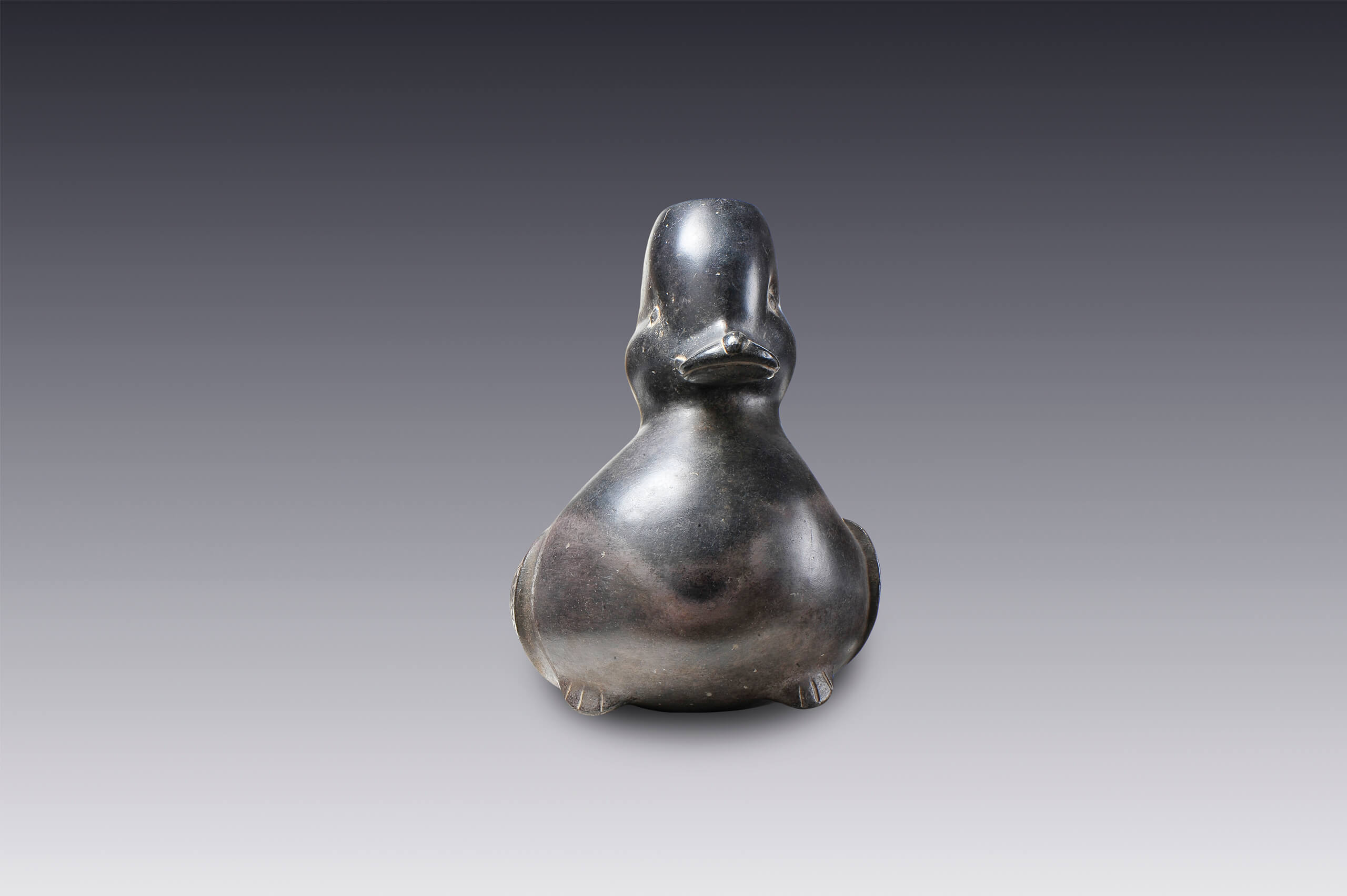 Vasija con forma de pato | El México antiguo. Salas de Arte Prehispánico | Museo Amparo, Puebla