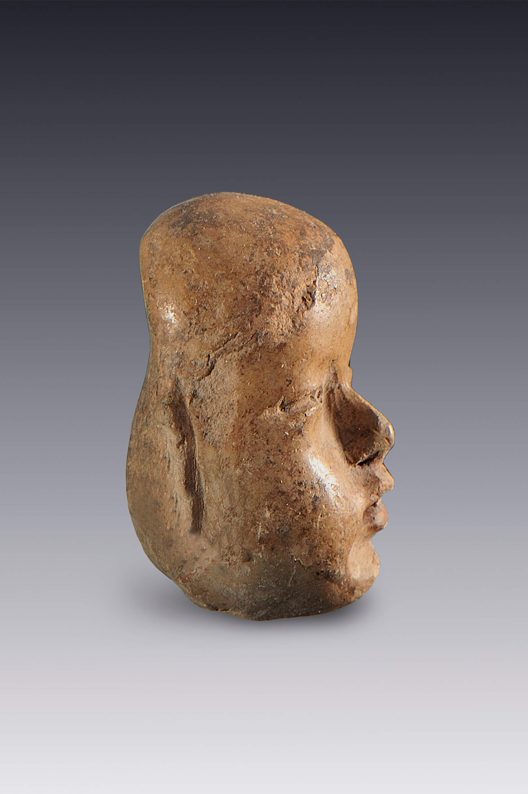 Cabezas de figuras humanas (fragmentos) | El México antiguo. Salas de Arte Prehispánico | Museo Amparo, Puebla