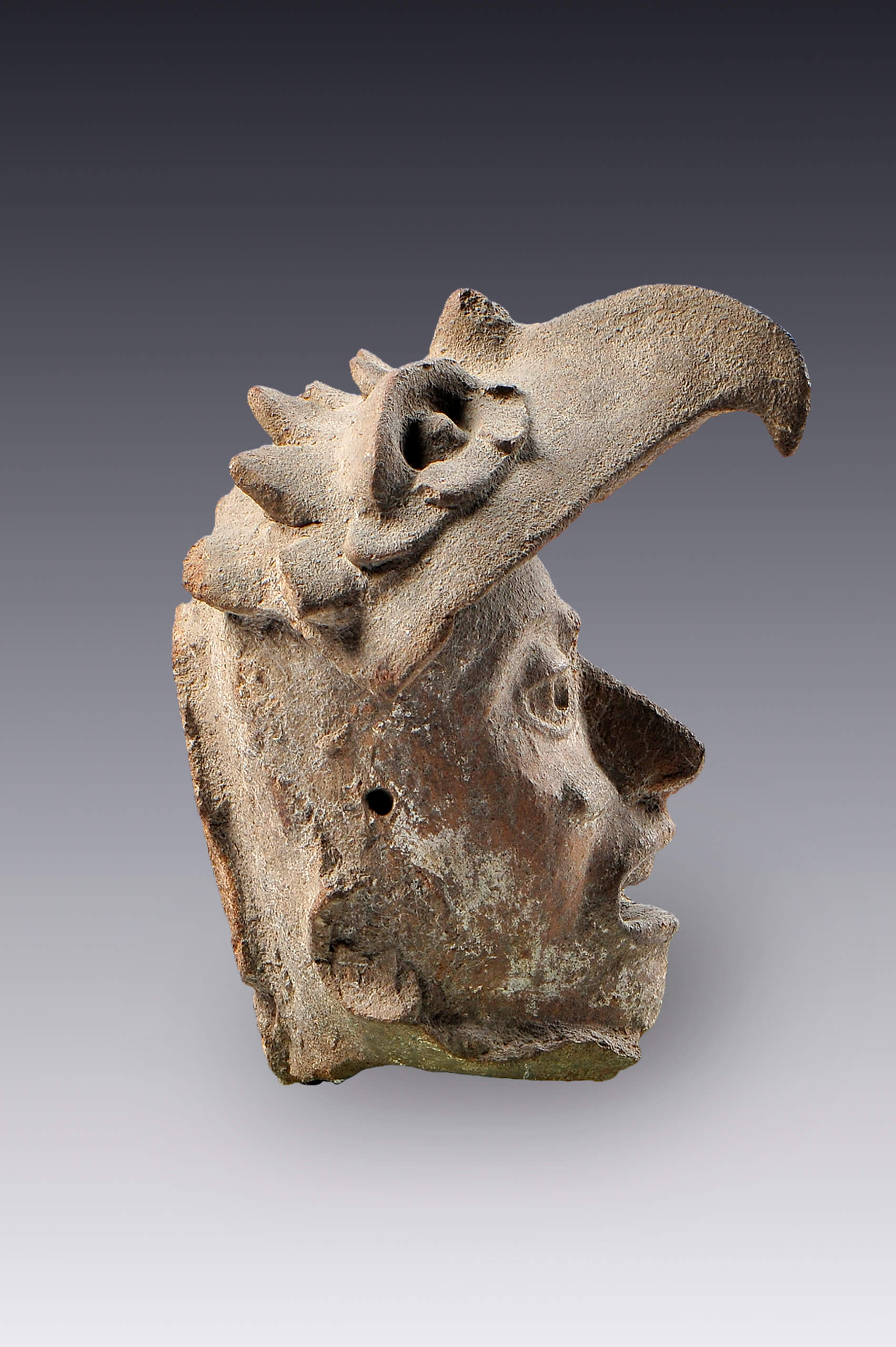 Rostro humano con casco de águila (fragmento) | El México antiguo. Salas de Arte Prehispánico | Museo Amparo, Puebla