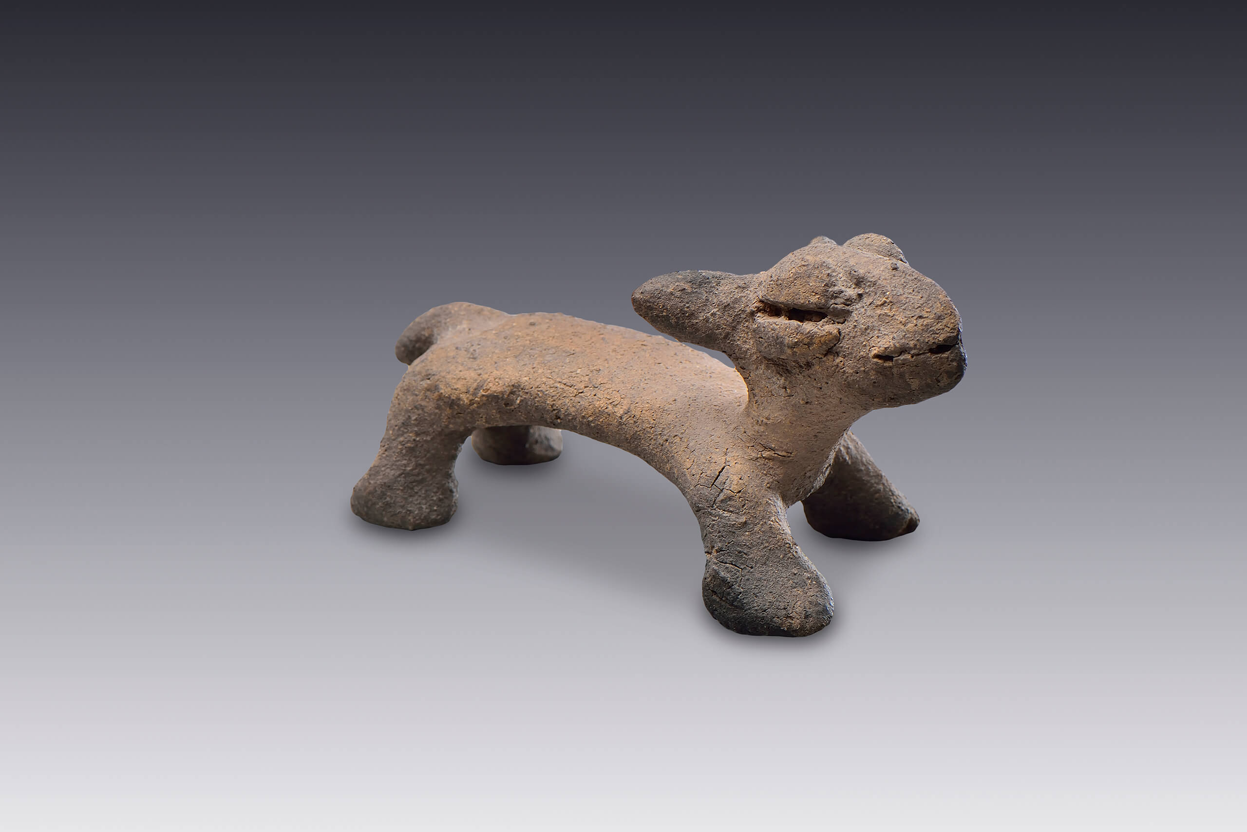 Figurilla de cuadrúpedo ¿felino? | El México antiguo. Salas de Arte Prehispánico | Museo Amparo, Puebla