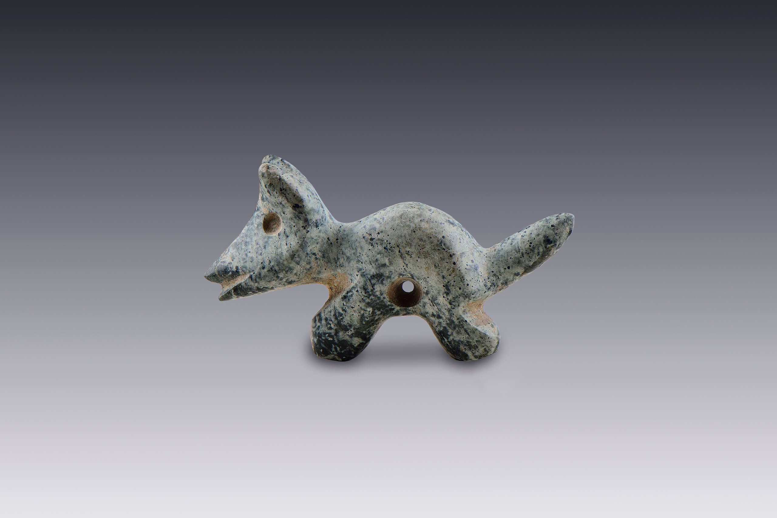 Pendiente con forma de perro | El México antiguo. Salas de Arte Prehispánico | Museo Amparo, Puebla