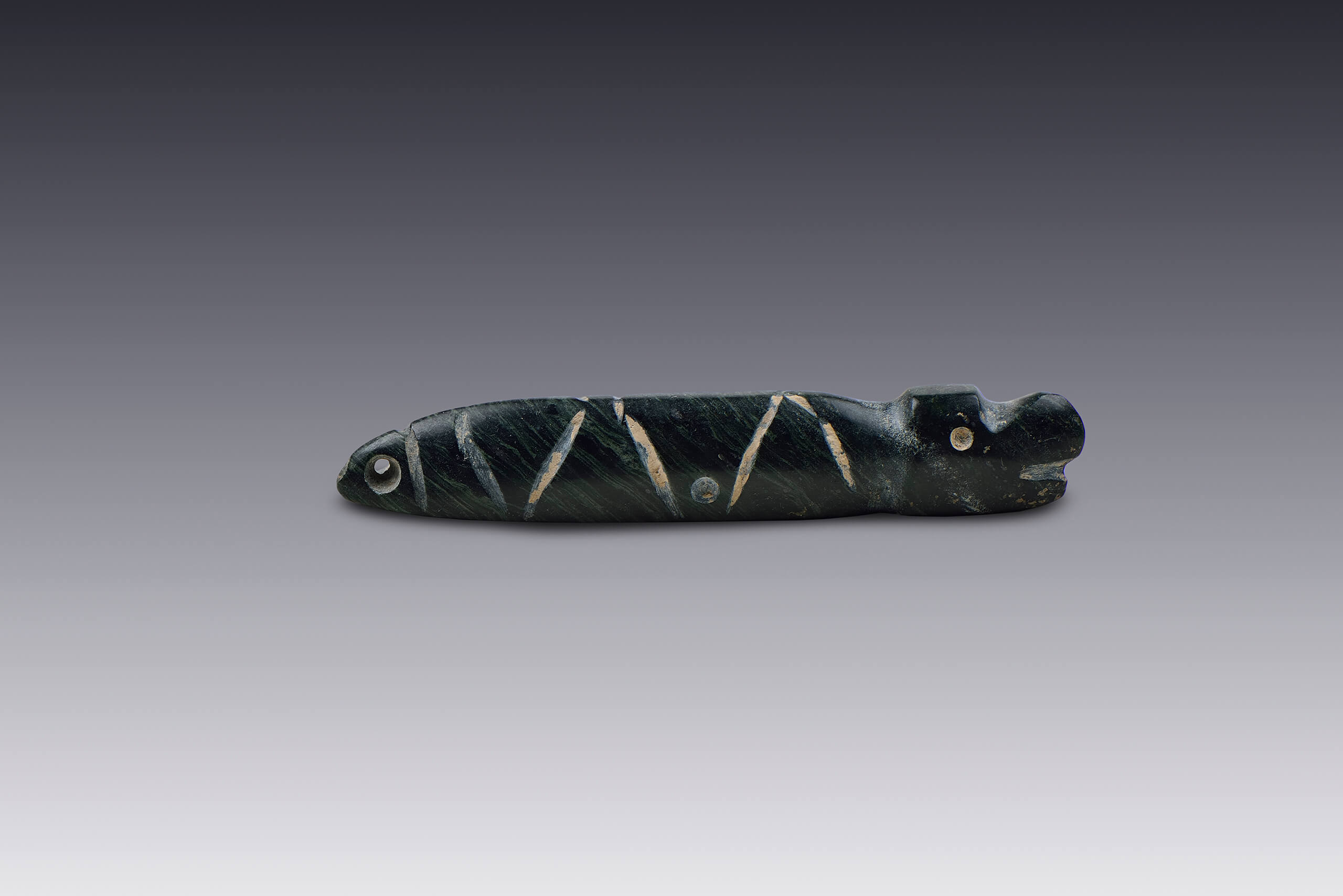Colgante con forma de serpiente | El México antiguo. Salas de Arte Prehispánico | Museo Amparo, Puebla