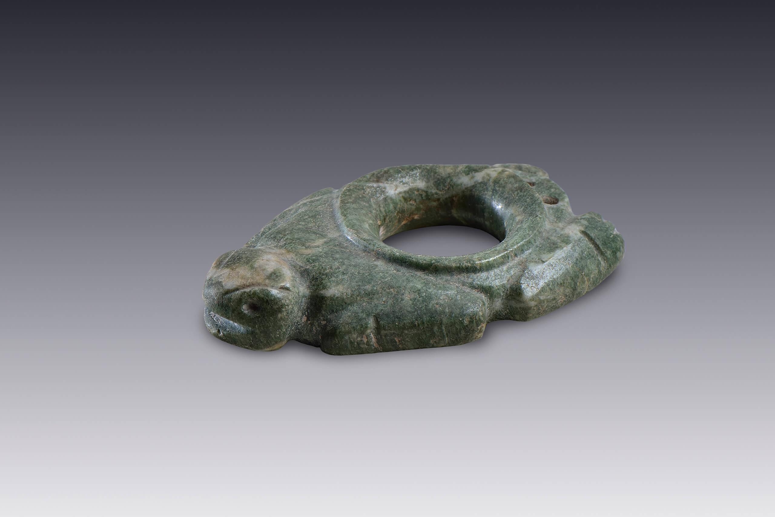 Pendiente con forma de rana | El México antiguo. Salas de Arte Prehispánico | Museo Amparo, Puebla