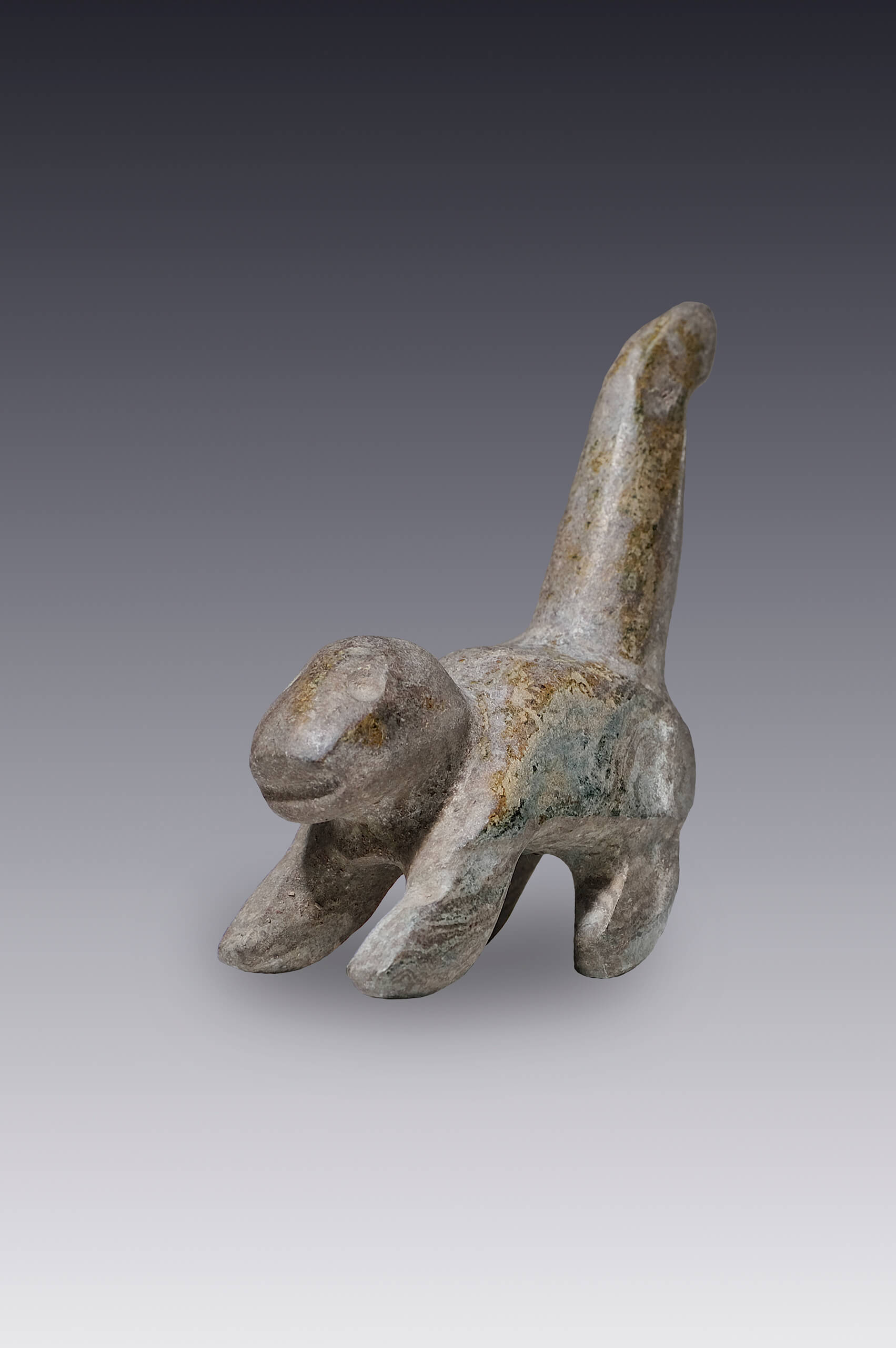 Figura zoomorfa | El México antiguo. Salas de Arte Prehispánico | Museo Amparo, Puebla