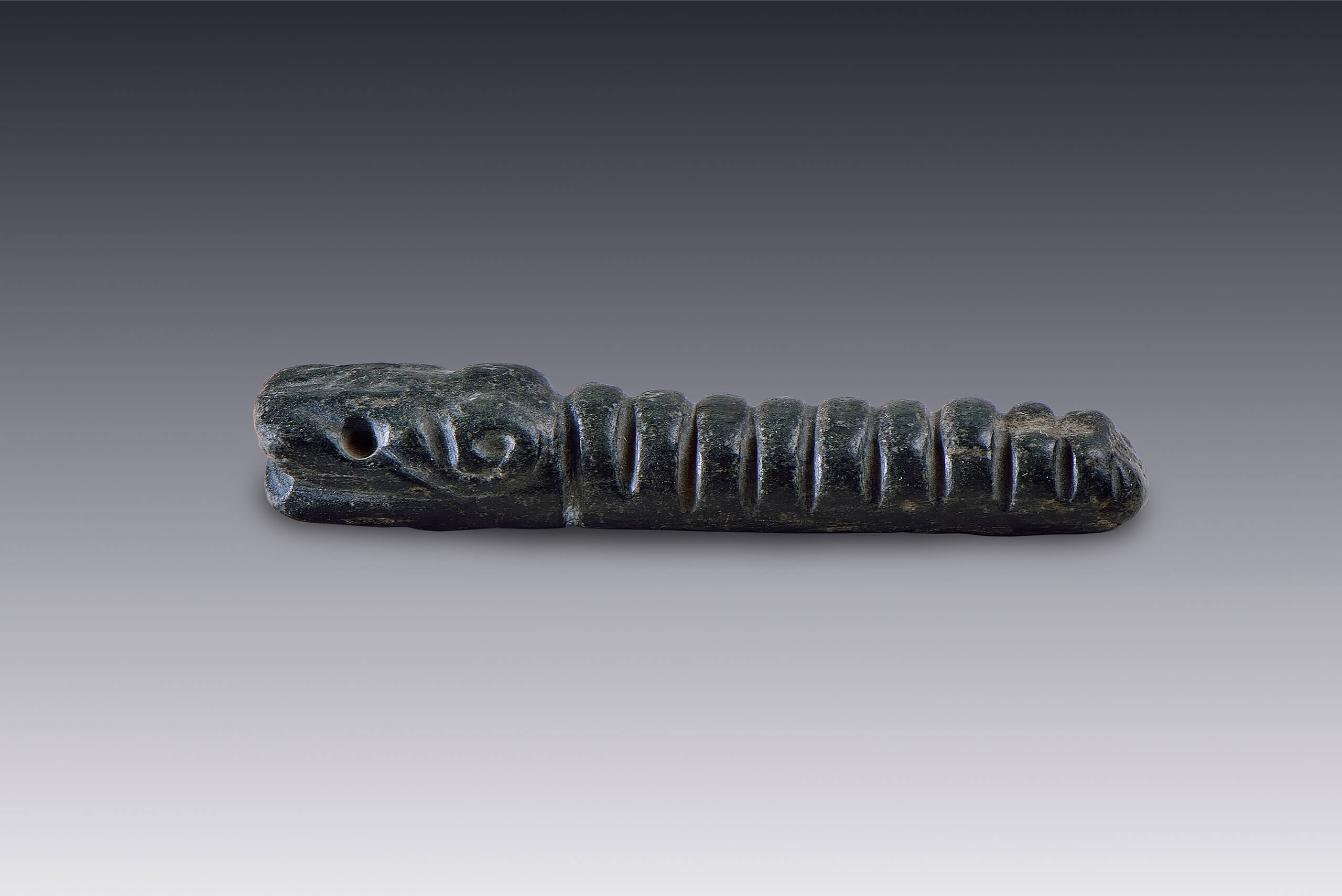 Güiro con cabeza de serpiente | El México antiguo. Salas de Arte Prehispánico | Museo Amparo, Puebla