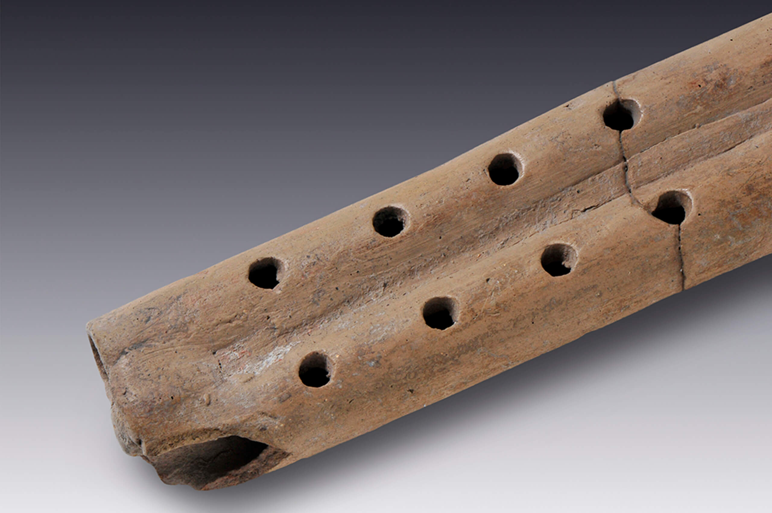 Flauta tubular doble con la efigie de un reptil | El México antiguo. Salas de Arte Prehispánico | Museo Amparo, Puebla