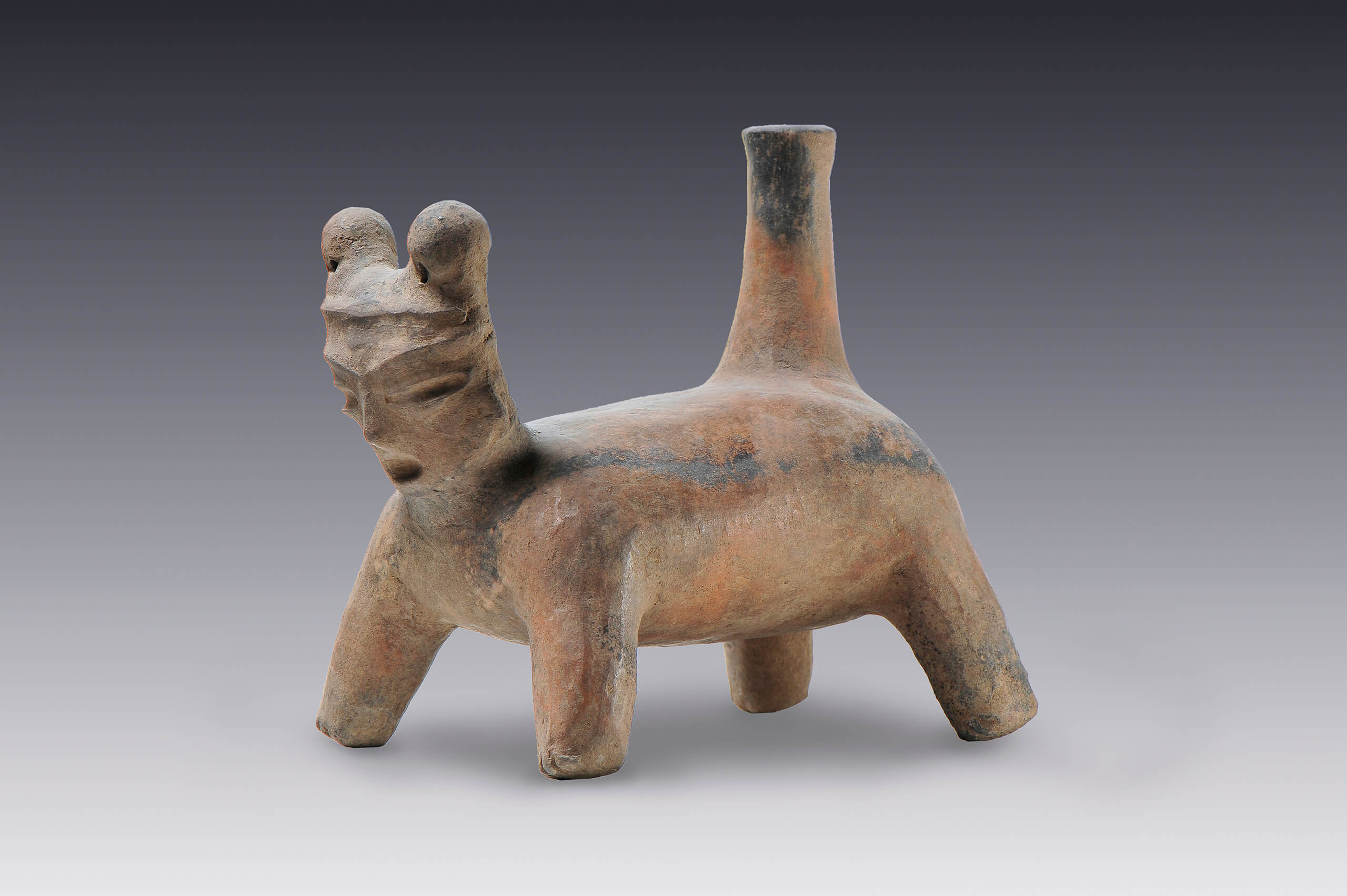 Vasijas-efigie silbadoras de caninos humanizados | El México antiguo. Salas de Arte Prehispánico | Museo Amparo, Puebla