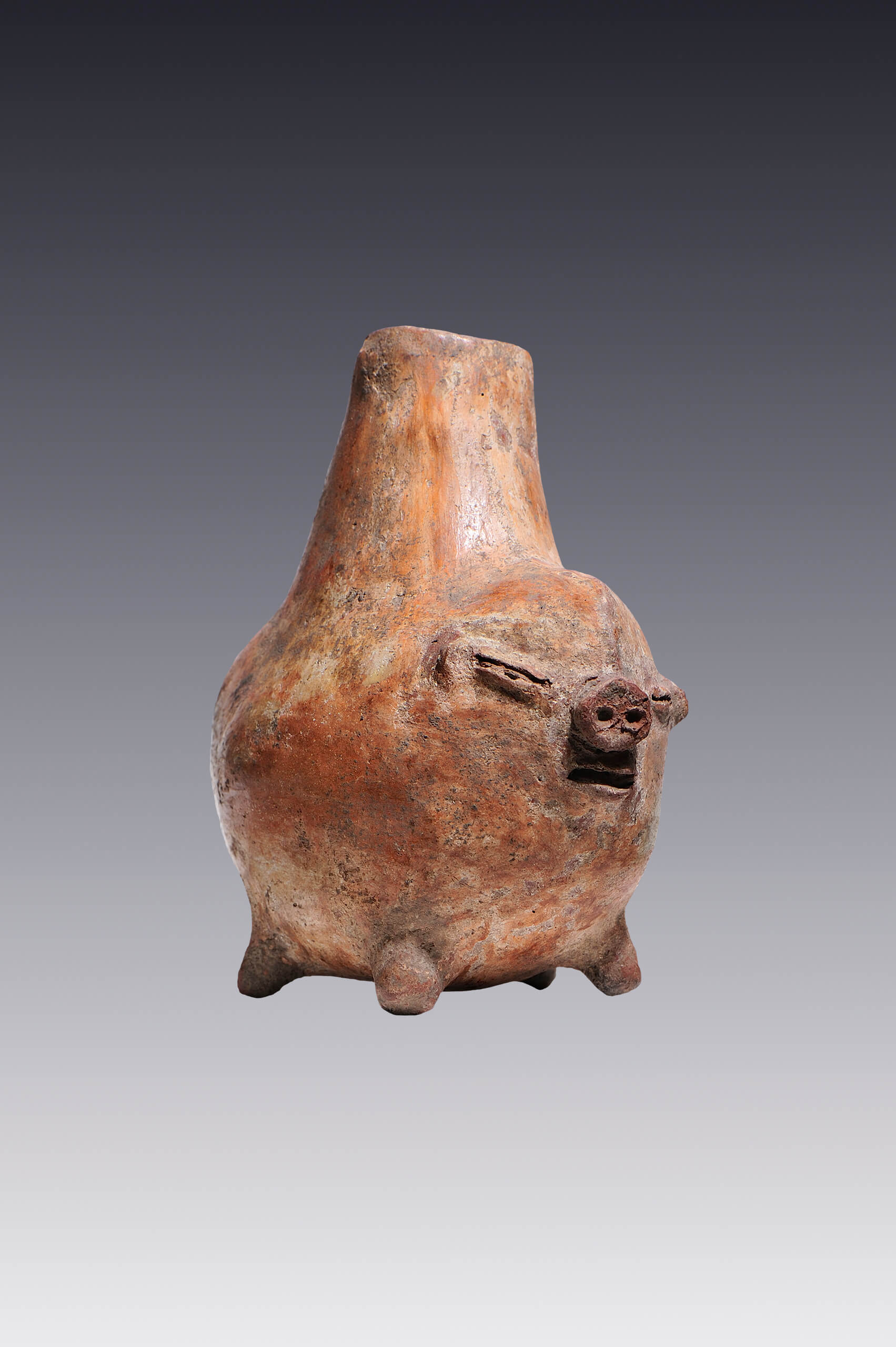 Botellón en forma de hombre pecarí | El México antiguo. Salas de Arte Prehispánico | Museo Amparo, Puebla