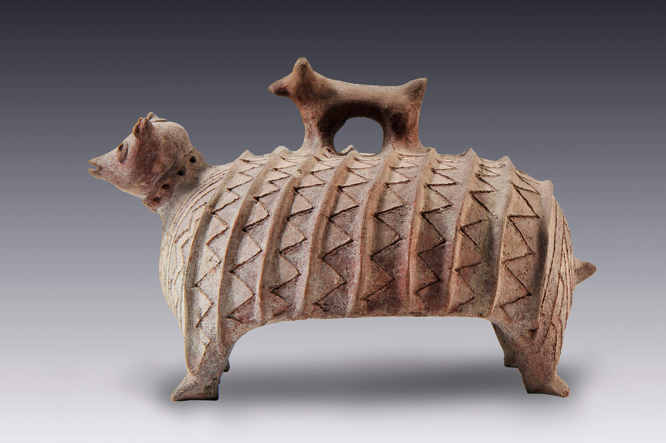 Tapadera con cuerpo y asa zoomorfos (armadillo y perro) | El México antiguo. Salas de Arte Prehispánico | Museo Amparo, Puebla