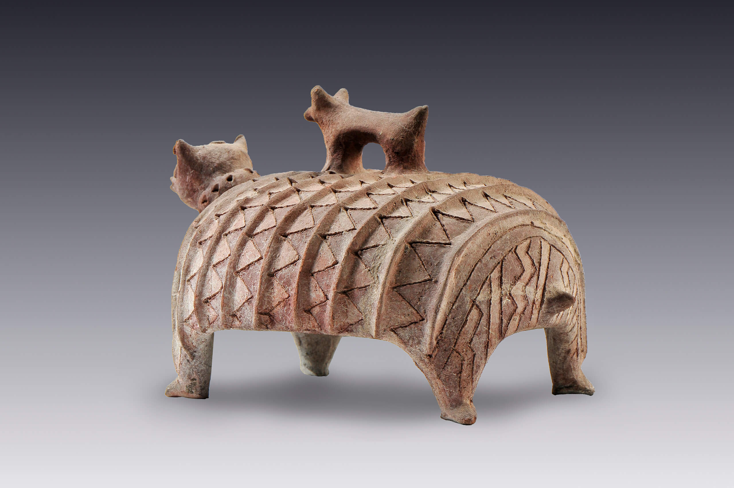 Tapadera con cuerpo y asa zoomorfos (armadillo y perro) | El México antiguo. Salas de Arte Prehispánico | Museo Amparo, Puebla