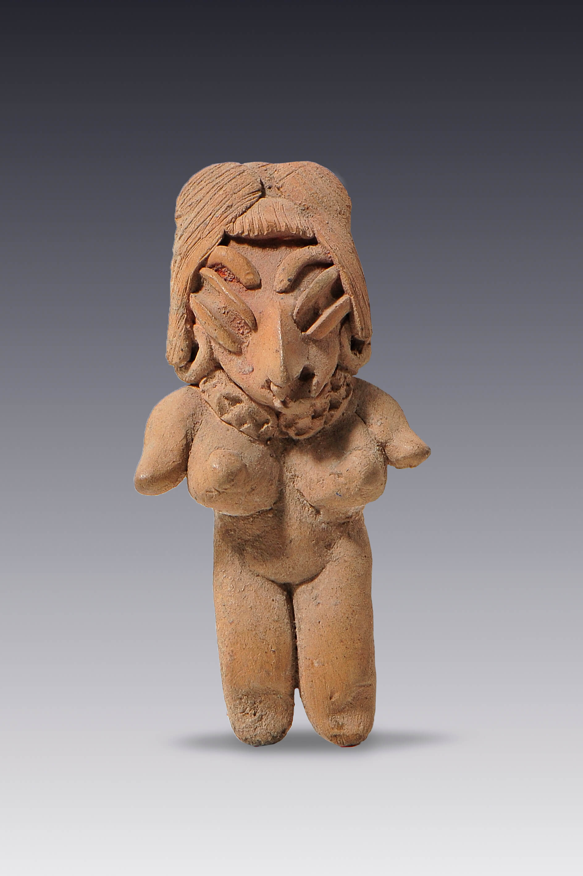 Desnudos femeninos con peinados elaborados | El México antiguo. Salas de Arte Prehispánico | Museo Amparo, Puebla