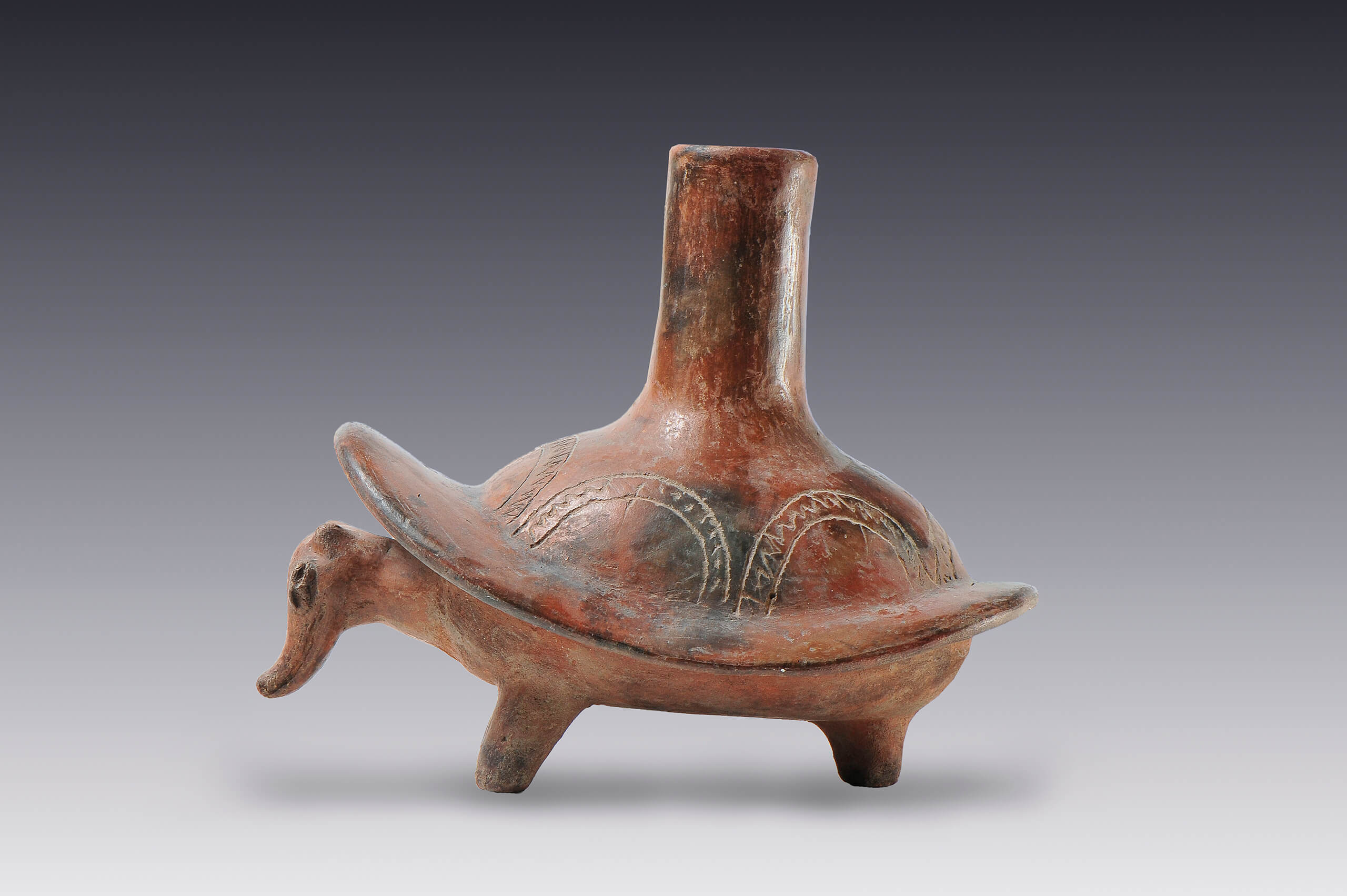 Vasija con cuerpo de armadillo | El México antiguo. Salas de Arte Prehispánico | Museo Amparo, Puebla