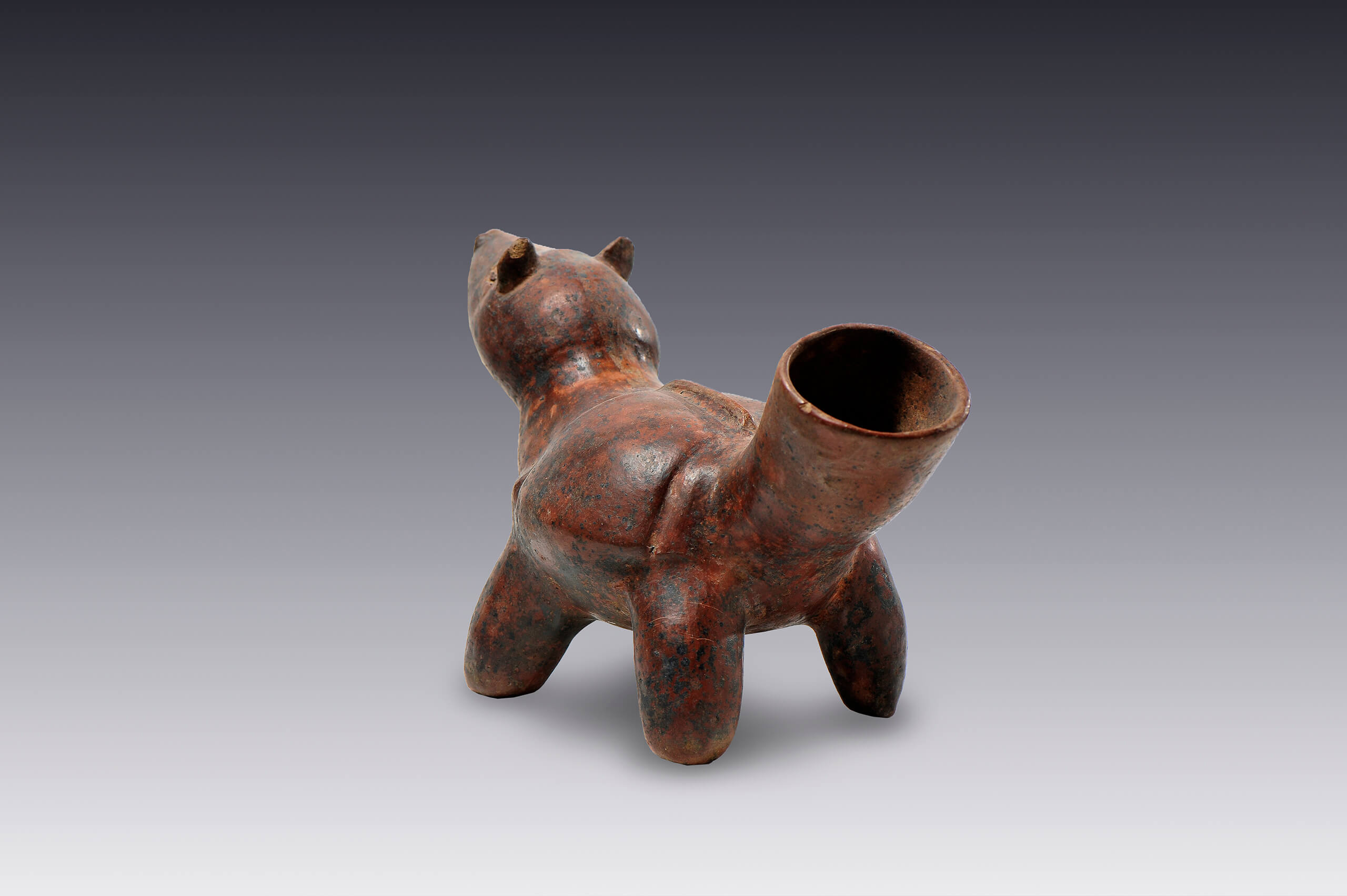 Vasija con forma de animal cuadrúpedo, ¿perro? | El México antiguo. Salas de Arte Prehispánico | Museo Amparo, Puebla