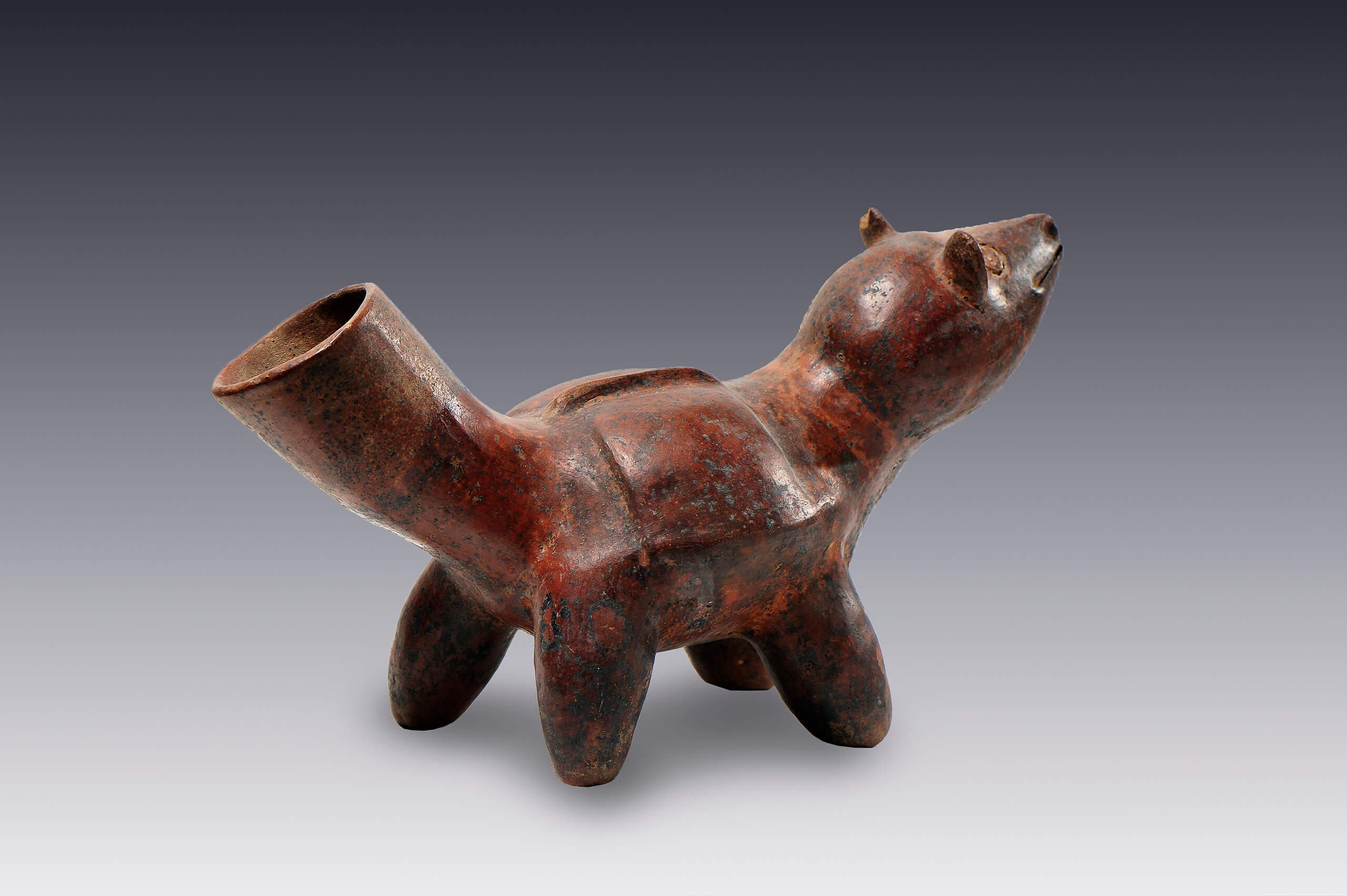 Vasija con forma de animal cuadrúpedo, ¿perro? | El México antiguo. Salas de Arte Prehispánico | Museo Amparo, Puebla