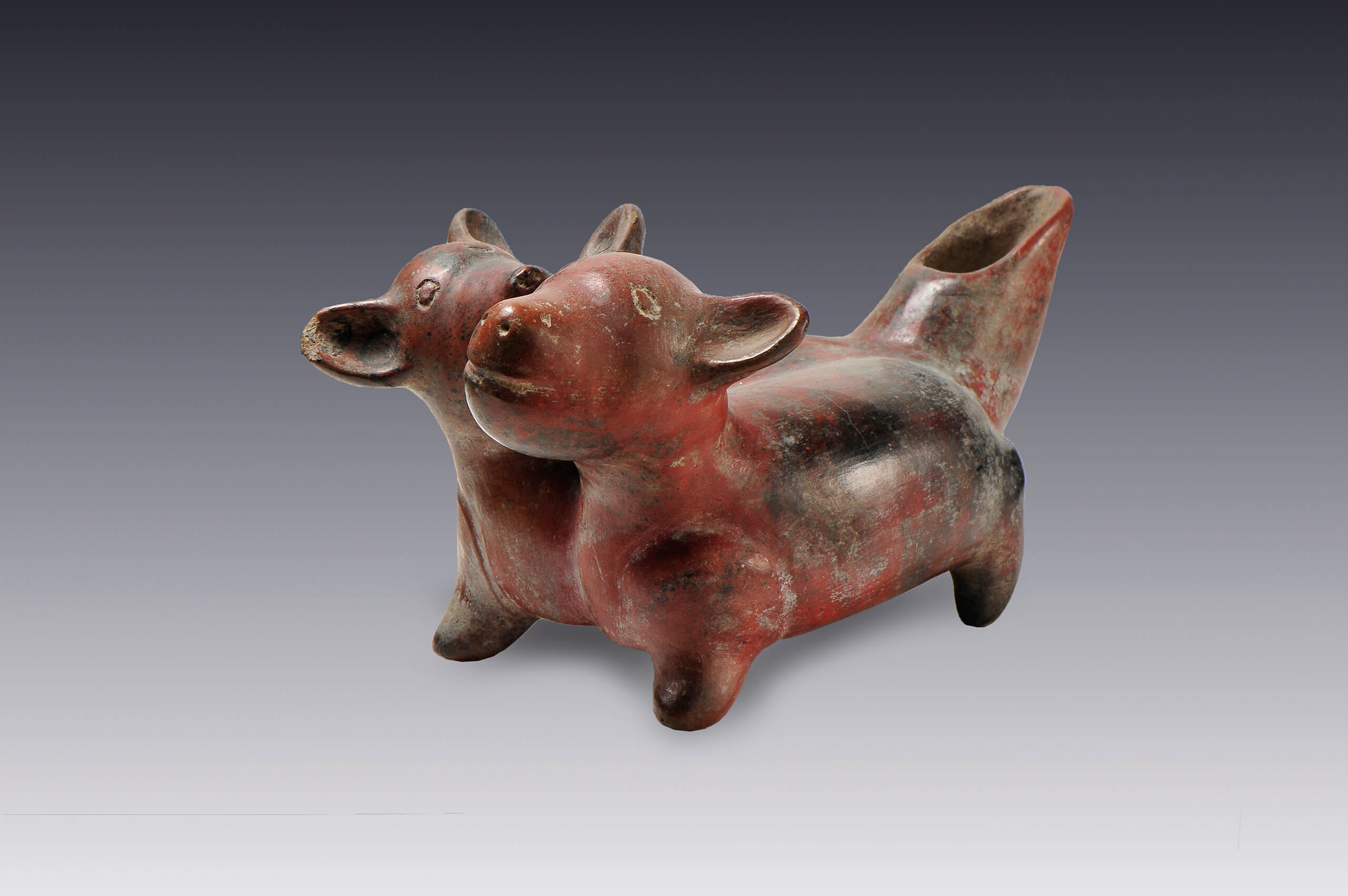 Vasija escultórica con forma de perros siameses juguetones | El México antiguo. Salas de Arte Prehispánico | Museo Amparo, Puebla