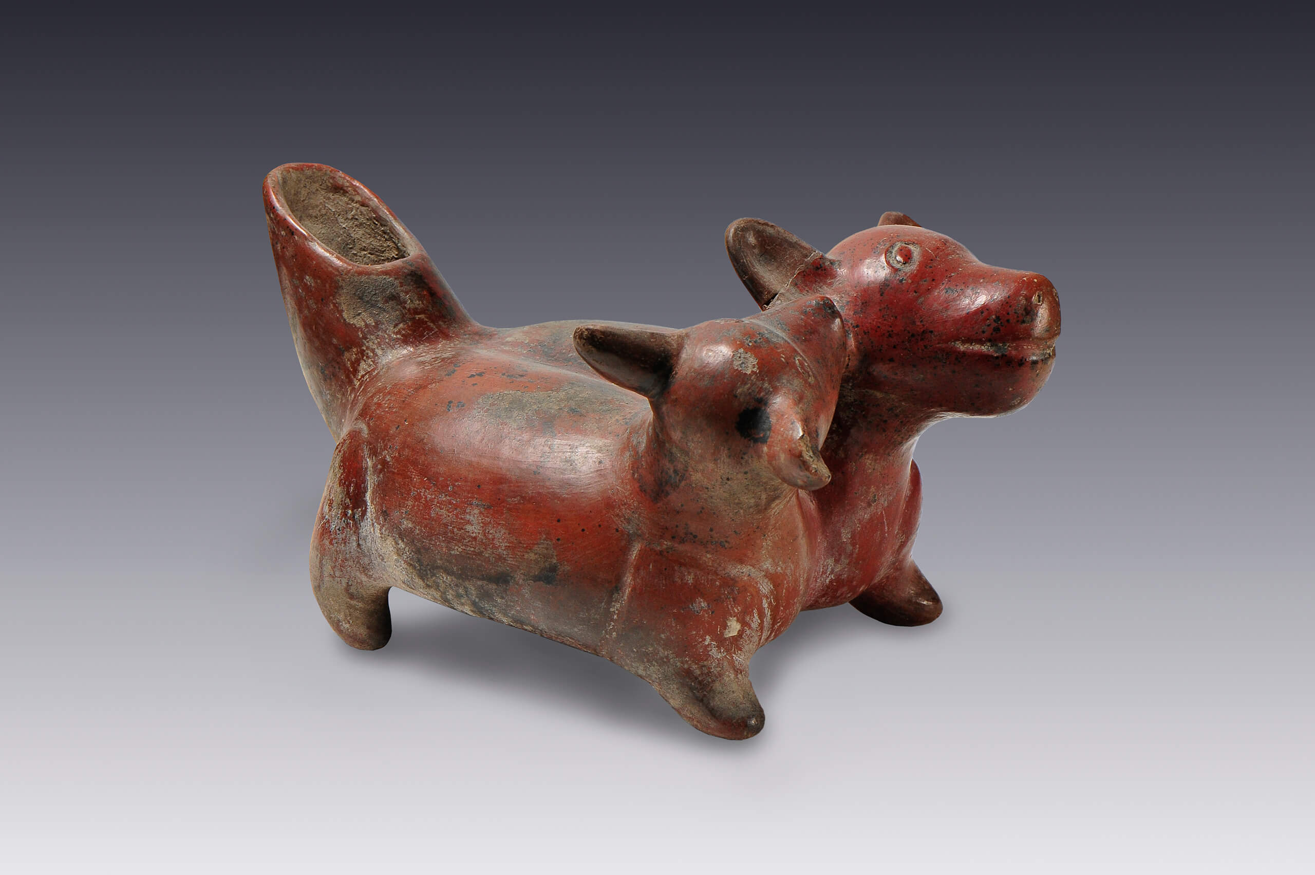 Vasija escultórica con forma de perros siameses juguetones | El México antiguo. Salas de Arte Prehispánico | Museo Amparo, Puebla