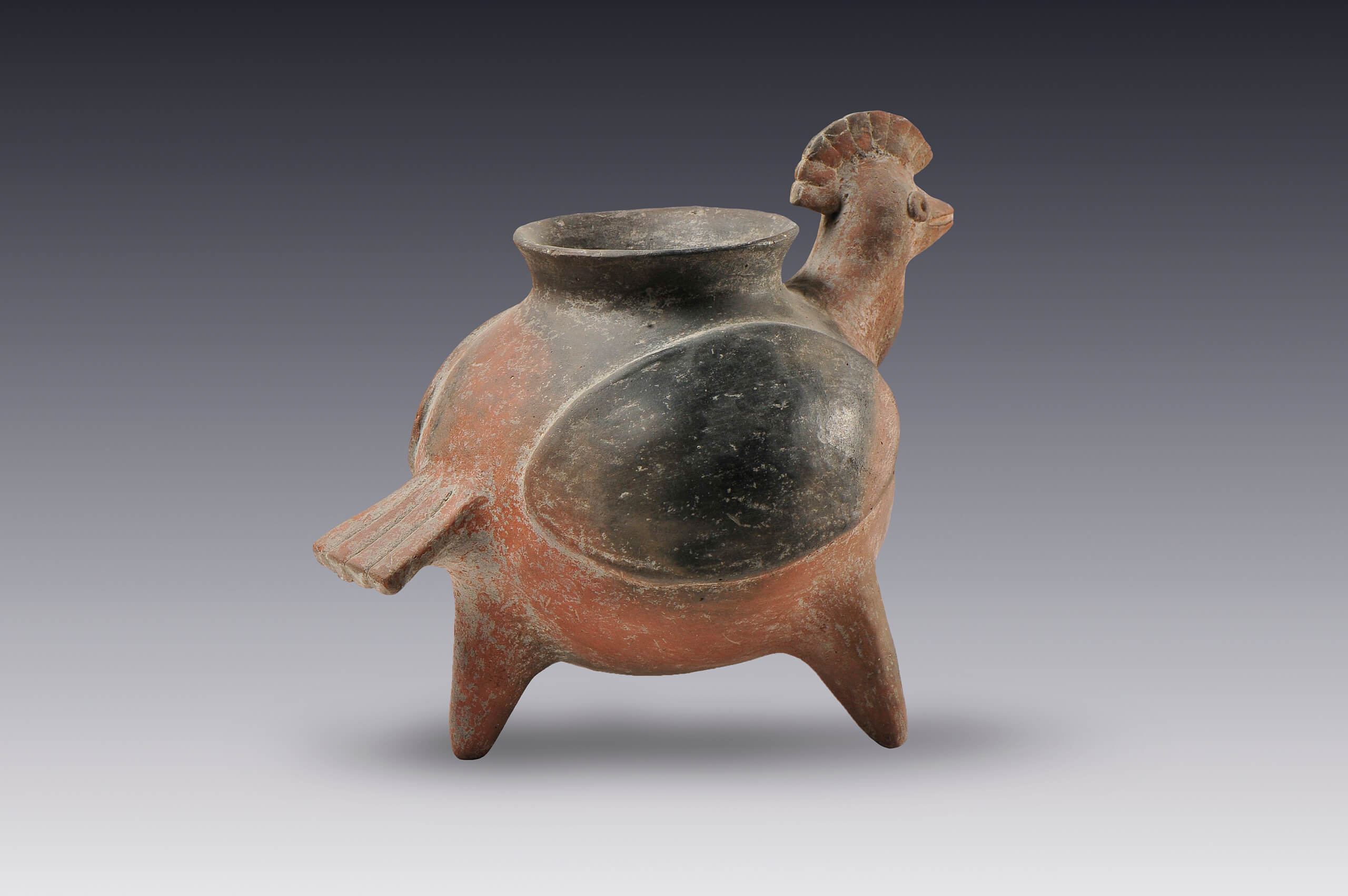 Olla trípode con forma de hocofaisán | El México antiguo. Salas de Arte Prehispánico | Museo Amparo, Puebla