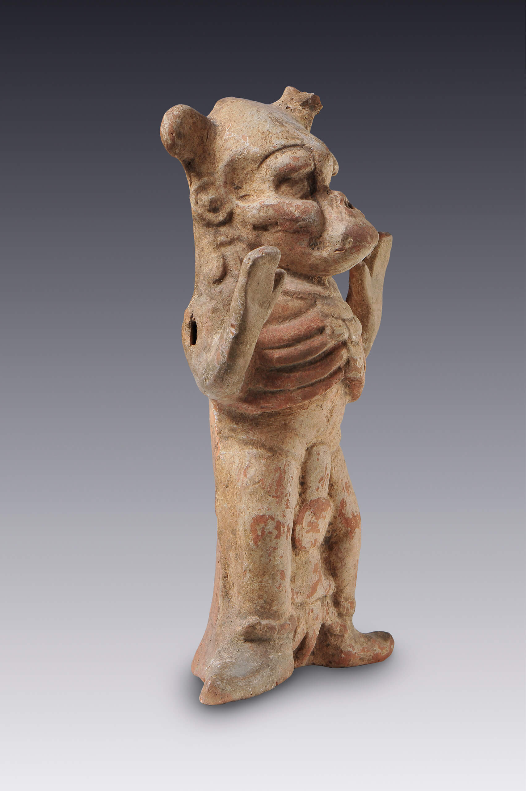 Figurilla de un tigre descarnado | El México antiguo. Salas de Arte Prehispánico | Museo Amparo, Puebla