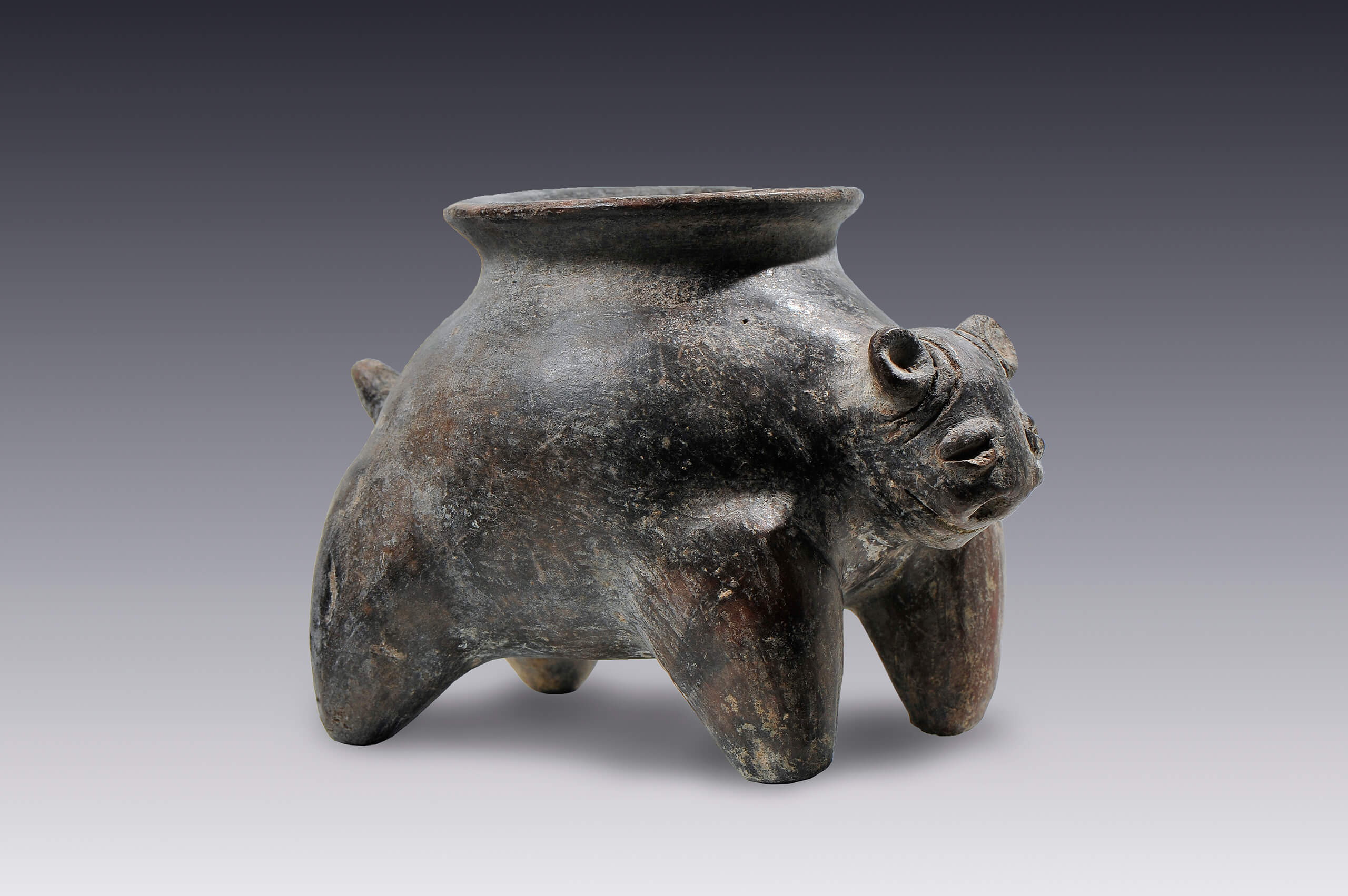 Olla con forma de animal cuadrúpedo | El México antiguo. Salas de Arte Prehispánico | Museo Amparo, Puebla