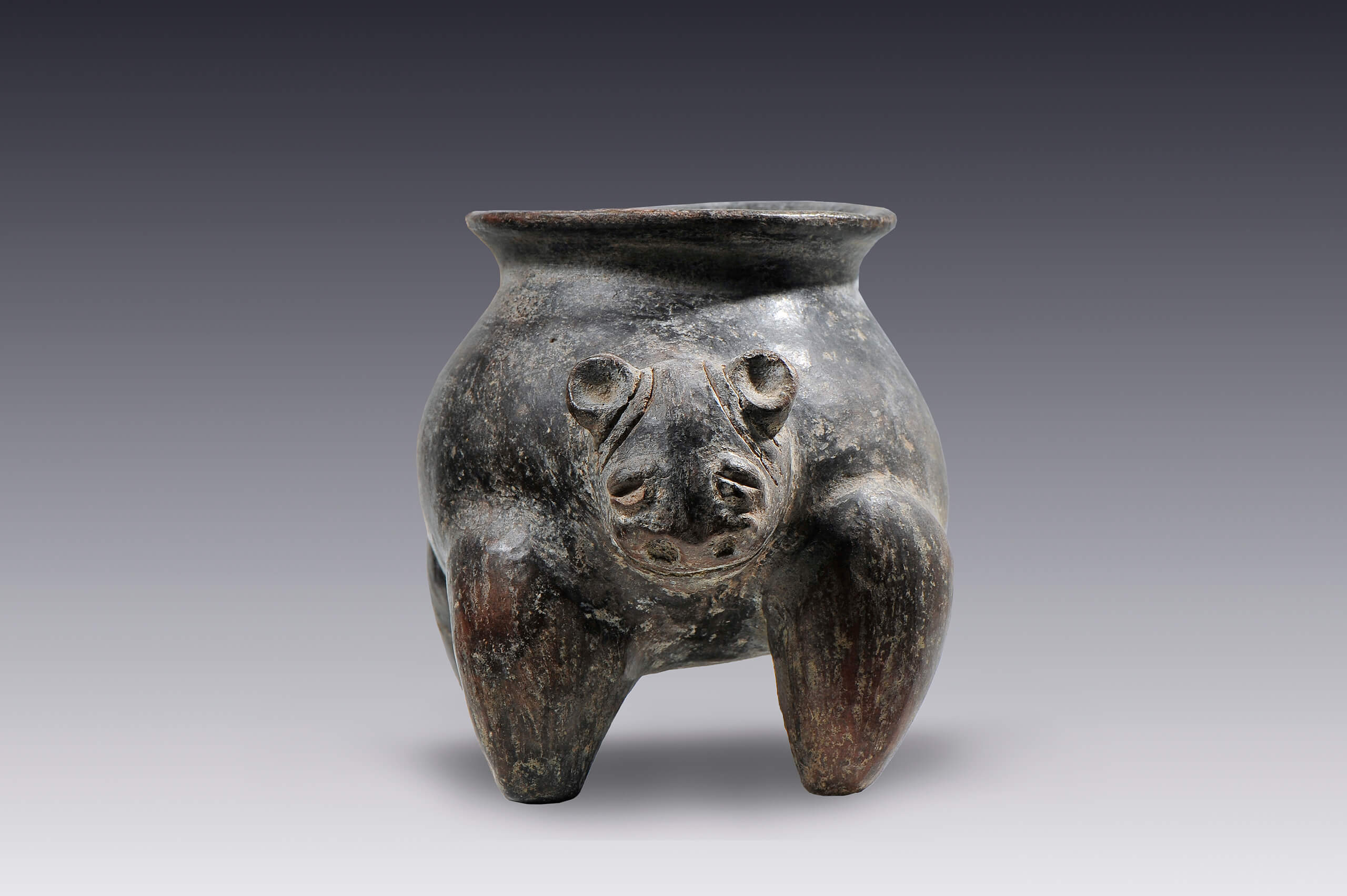 Olla con forma de animal cuadrúpedo | El México antiguo. Salas de Arte Prehispánico | Museo Amparo, Puebla