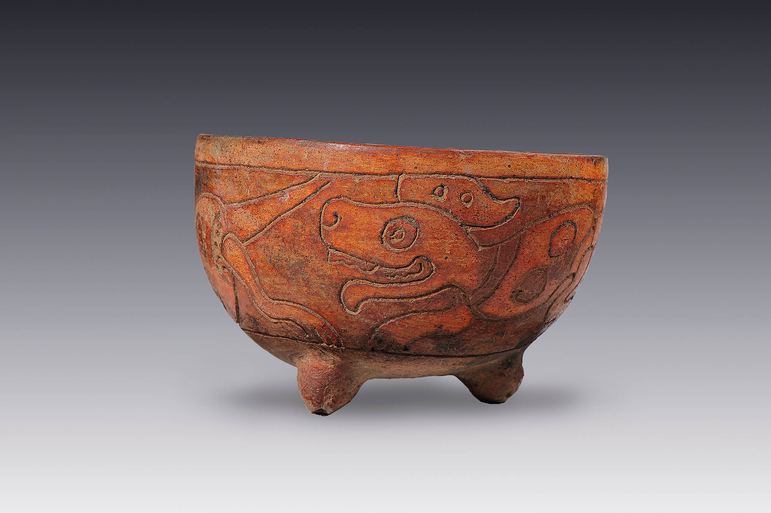 Cajete inciso con cánido | El México antiguo. Salas de Arte Prehispánico | Museo Amparo, Puebla
