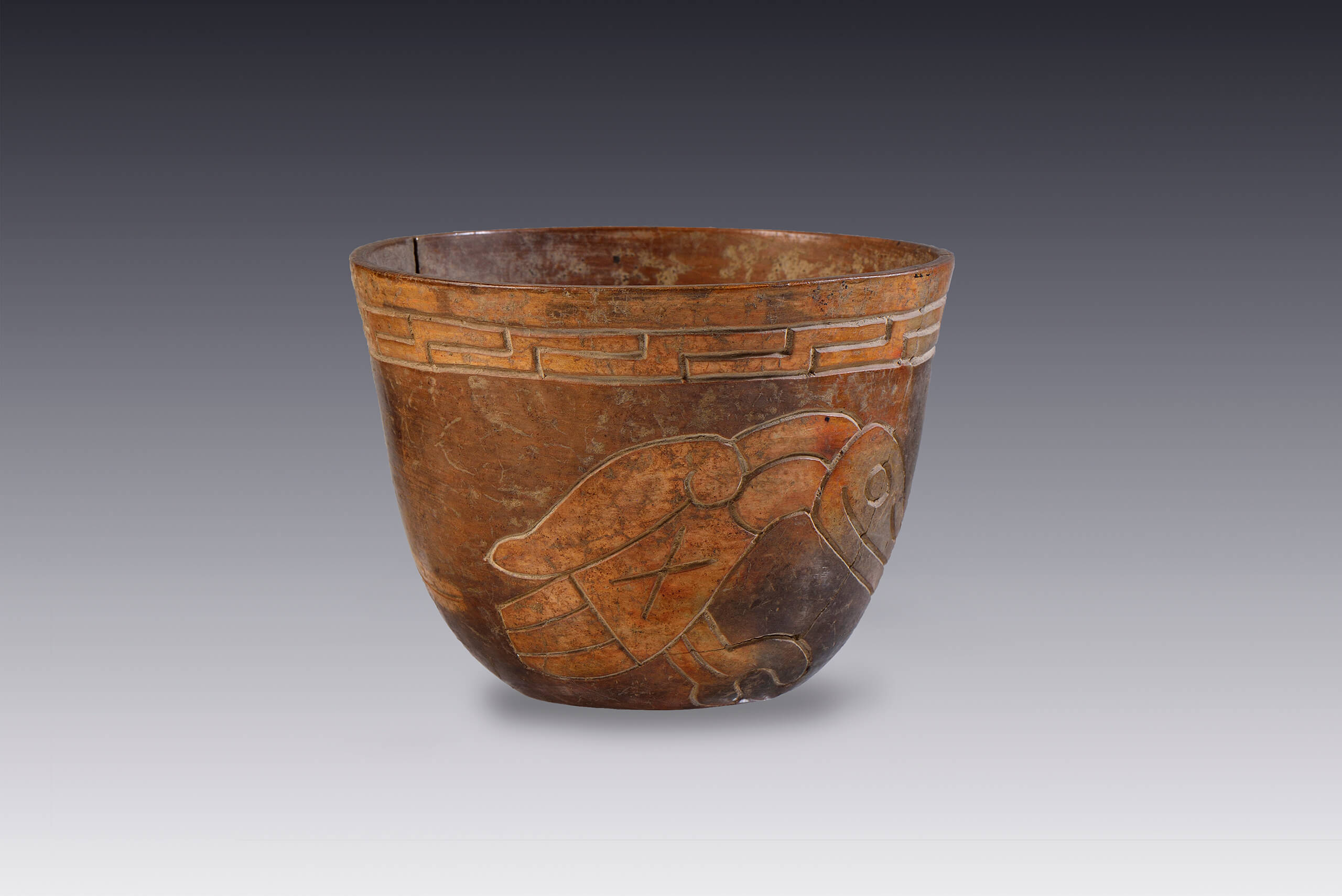 Vasija con decoración incisa (ave) | El México antiguo. Salas de Arte Prehispánico | Museo Amparo, Puebla