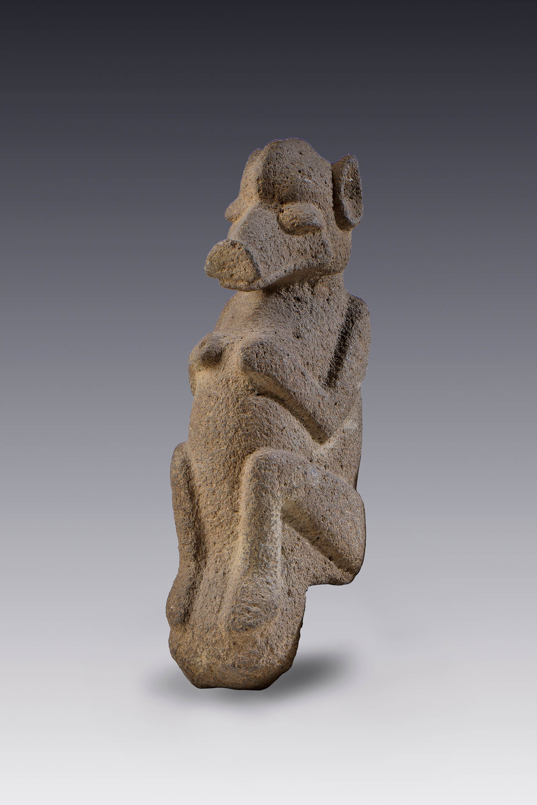  "Palma ". Escultura votiva de un cánido | El México antiguo. Salas de Arte Prehispánico | Museo Amparo, Puebla
