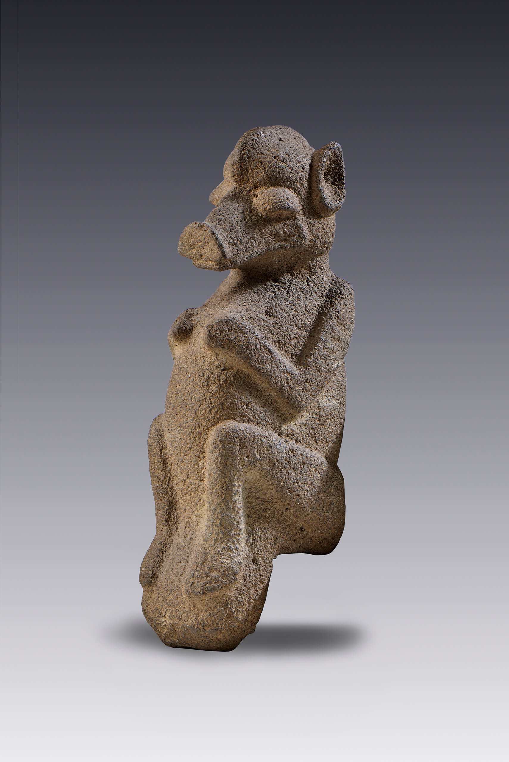  "Palma ". Escultura votiva de un cánido | El México antiguo. Salas de Arte Prehispánico | Museo Amparo, Puebla