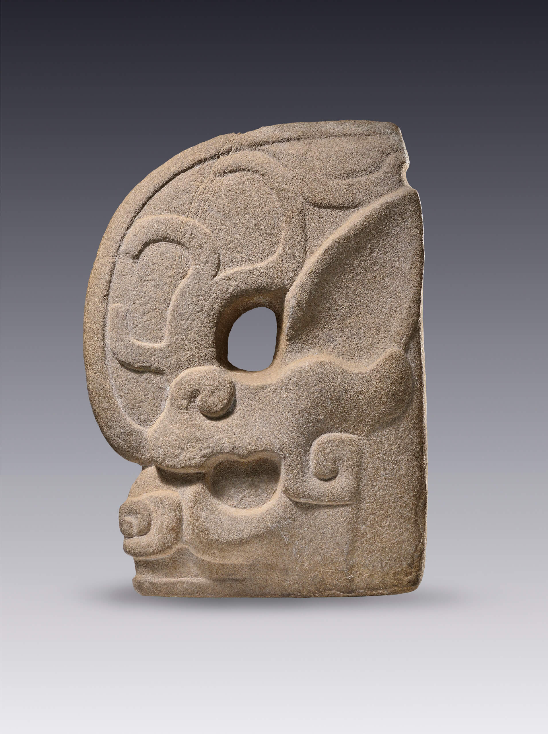  "Hacha ". Escultura votiva de un animal fantástico | El tiempo en las cosas II. Salas de Arte Contemporáneo | Museo Amparo, Puebla