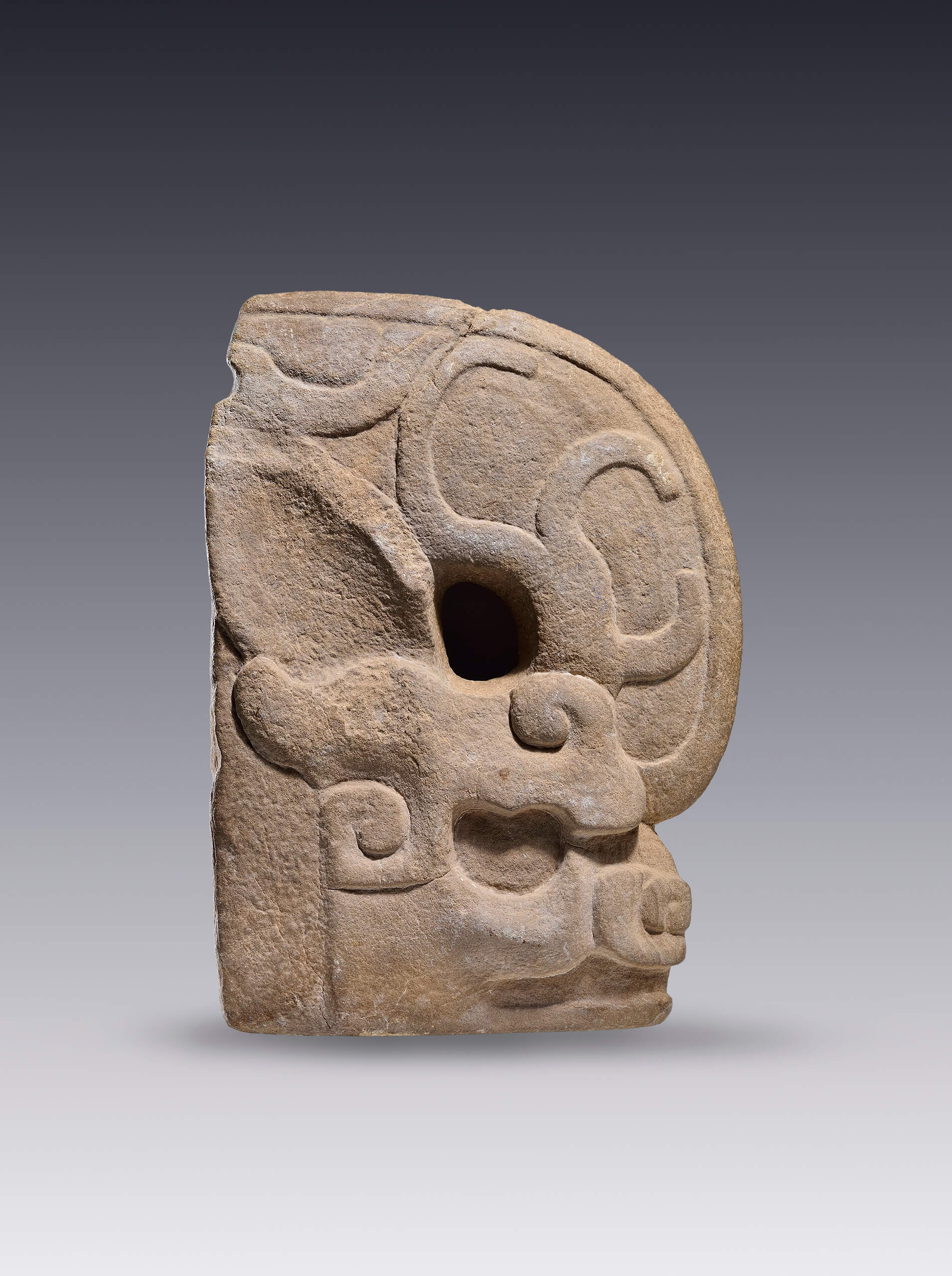  "Hacha ". Escultura votiva de un animal fantástico | El tiempo en las cosas. Salas de Arte Contemporáneo | Museo Amparo, Puebla