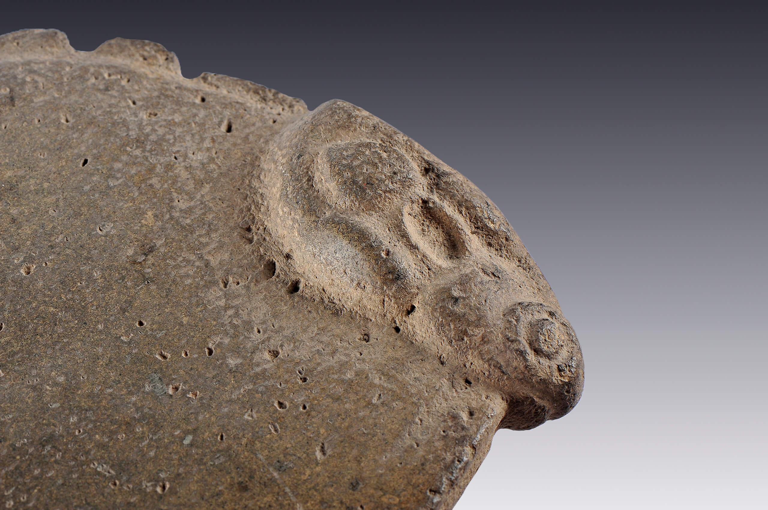 Metate con la efigie de una cabeza de animal | El México antiguo. Salas de Arte Prehispánico | Museo Amparo, Puebla
