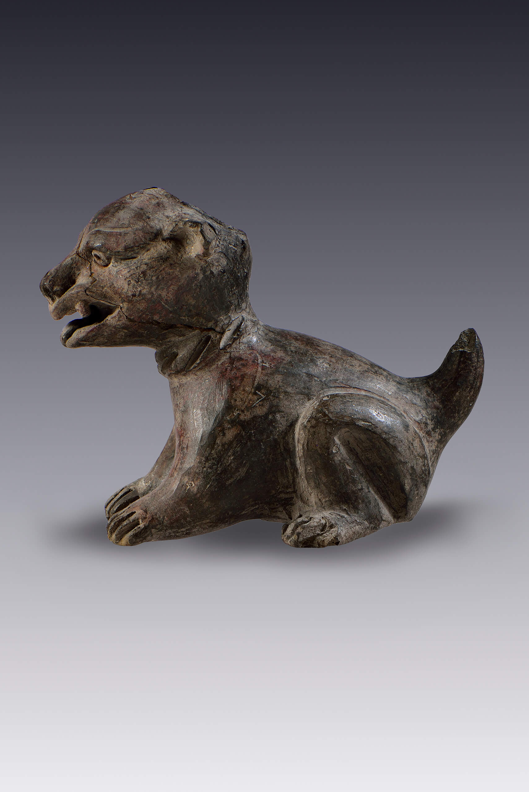 Jaguar rugiendo | El México antiguo. Salas de Arte Prehispánico | Museo Amparo, Puebla