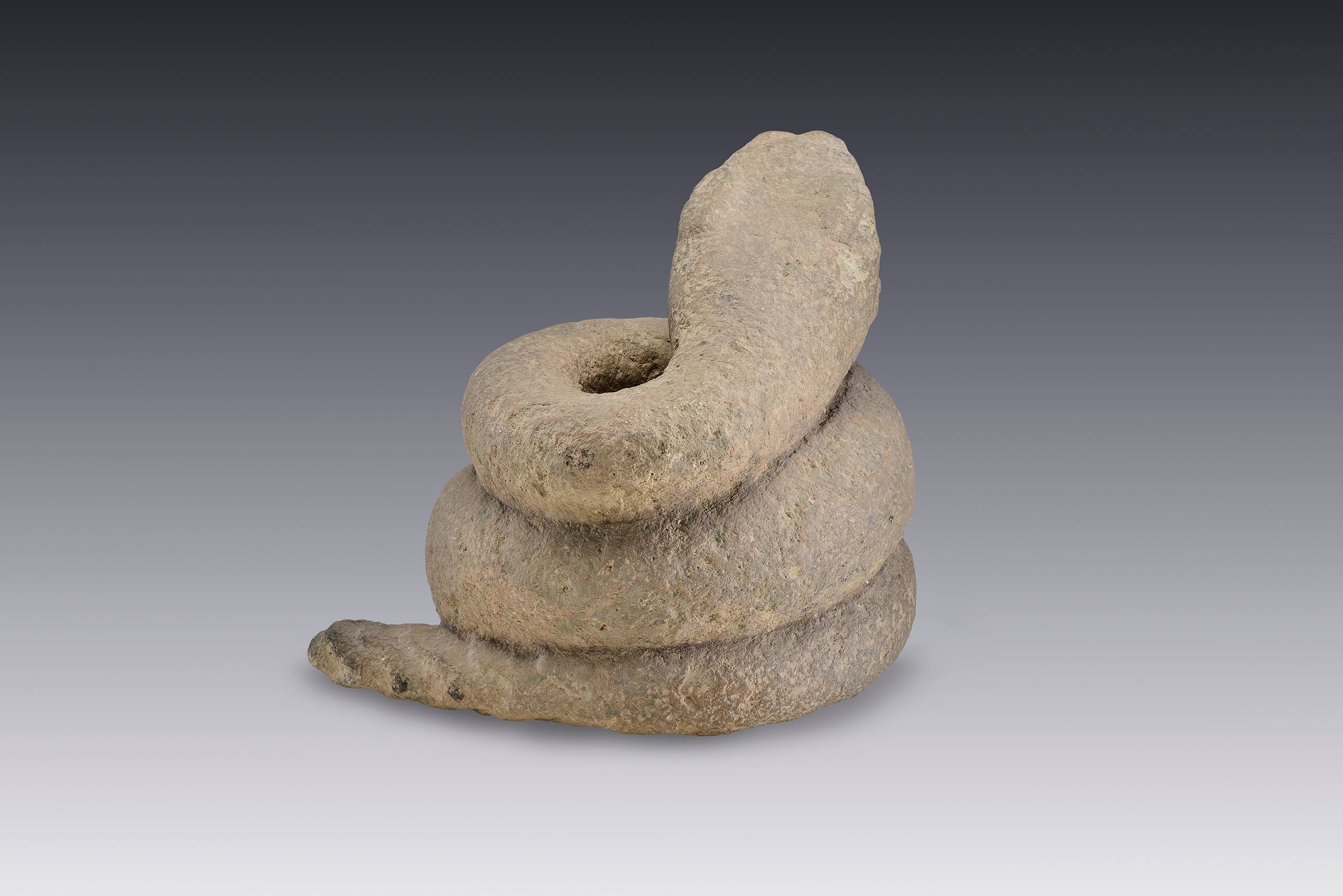 Serpientes enroscadas | El tiempo en las cosas II. Salas de Arte Contemporáneo | Museo Amparo, Puebla
