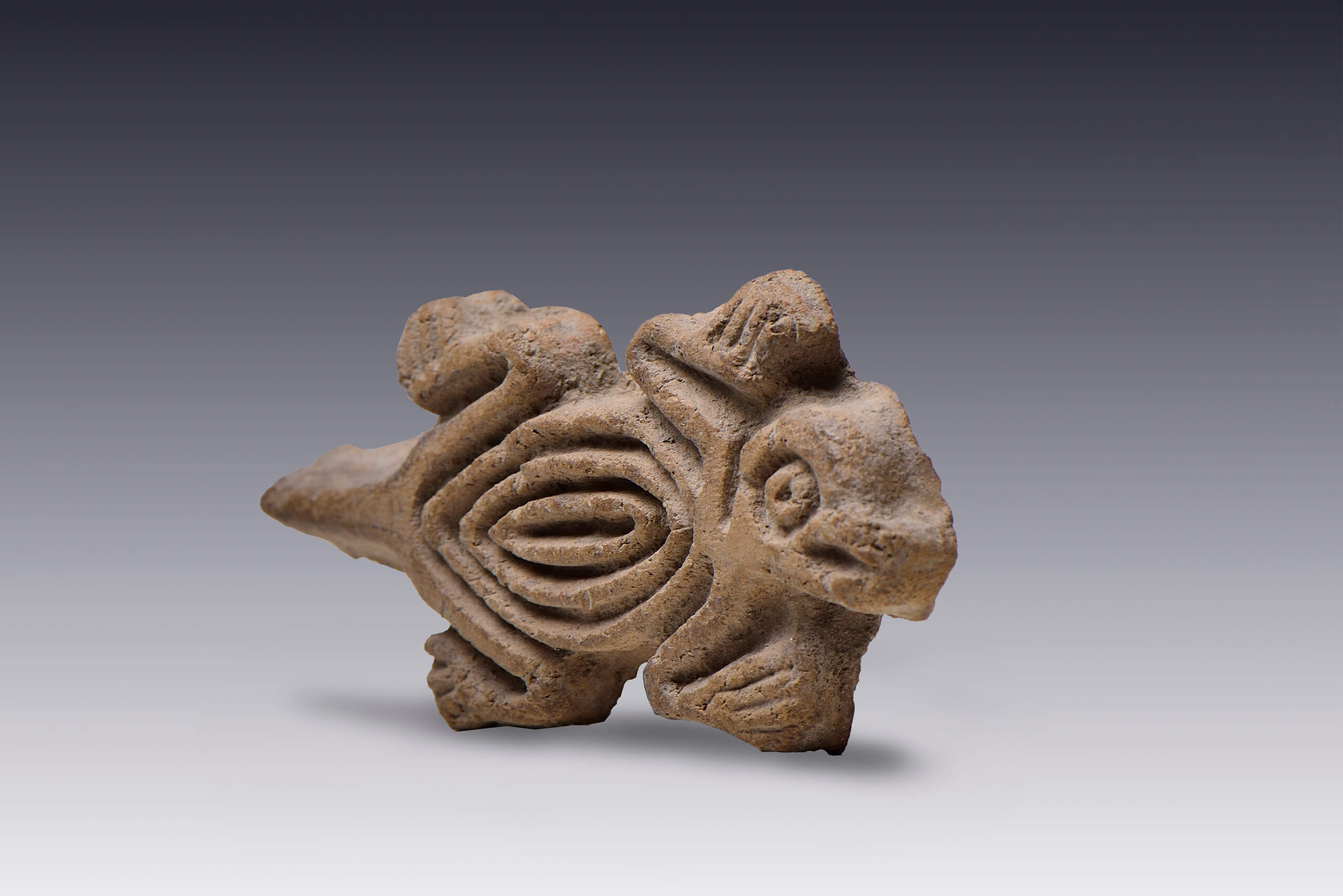 Sellos zoomorfos: cánido y lagartija | El México antiguo. Salas de Arte Prehispánico | Museo Amparo, Puebla