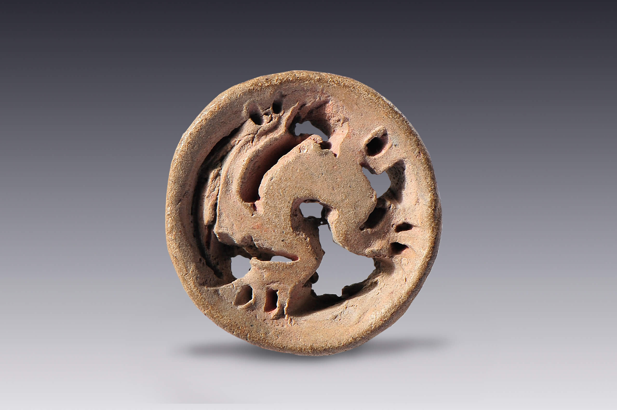 Sello circular-zoomorfo, imagen de batracio | El México antiguo. Salas de Arte Prehispánico | Museo Amparo, Puebla