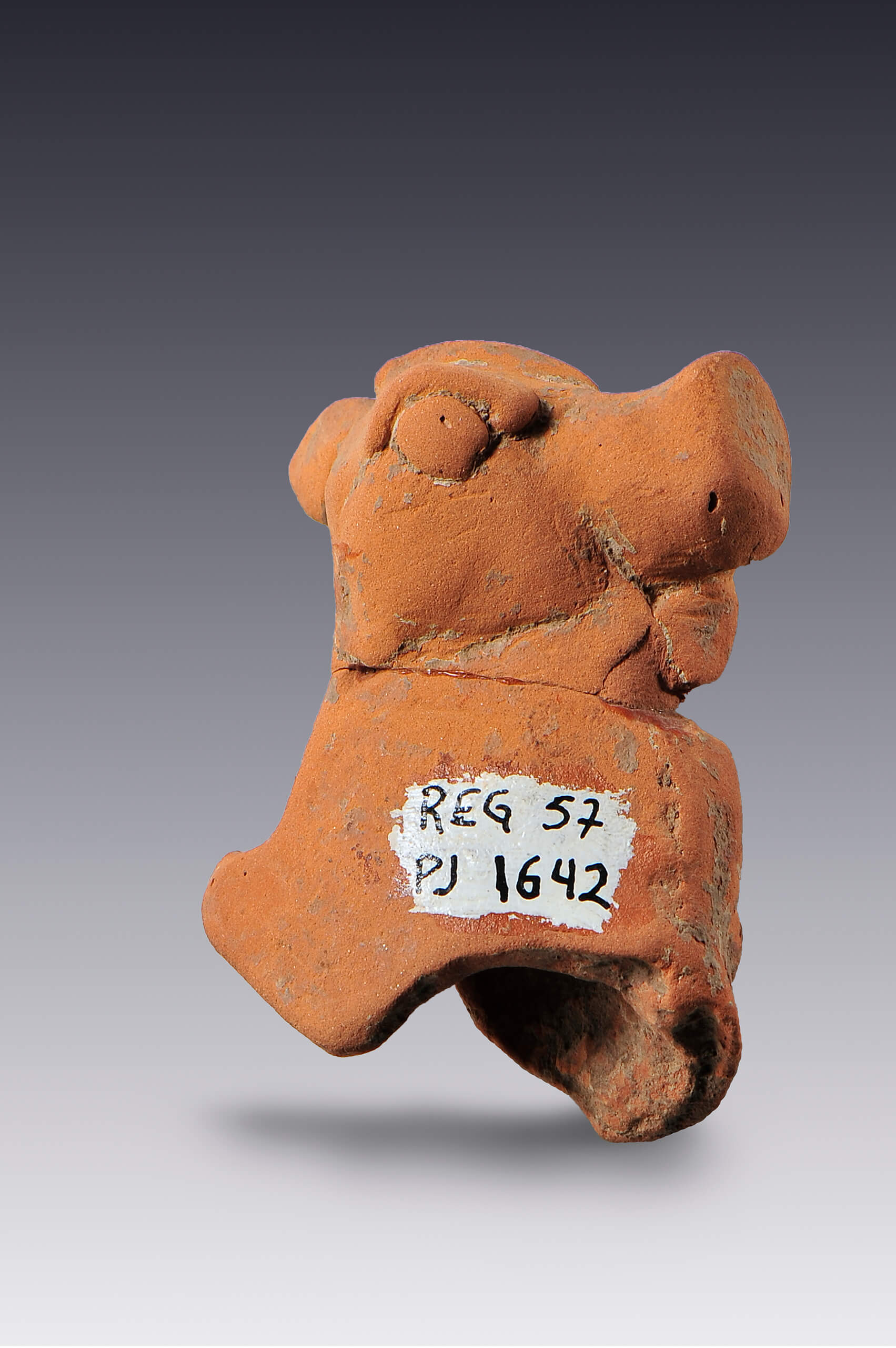 Cabeza antropomorfa con tocado zoomorfo | El México antiguo. Salas de Arte Prehispánico | Museo Amparo, Puebla