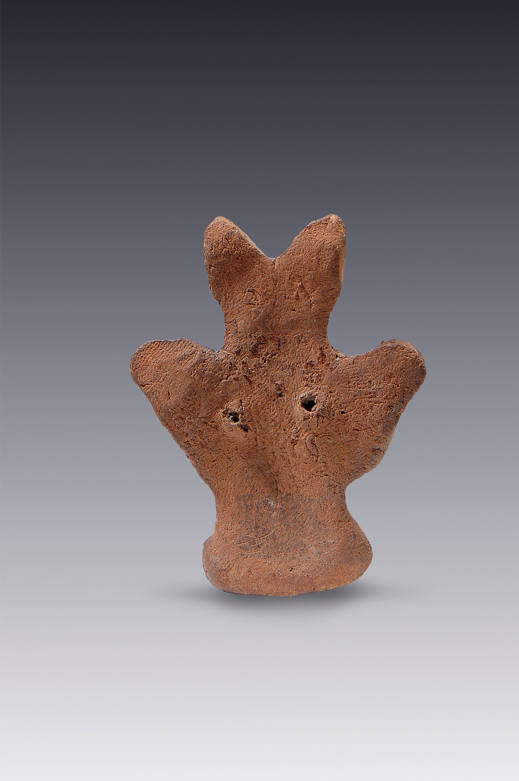 Figurilla de tlacuache | El México antiguo. Salas de Arte Prehispánico | Museo Amparo, Puebla