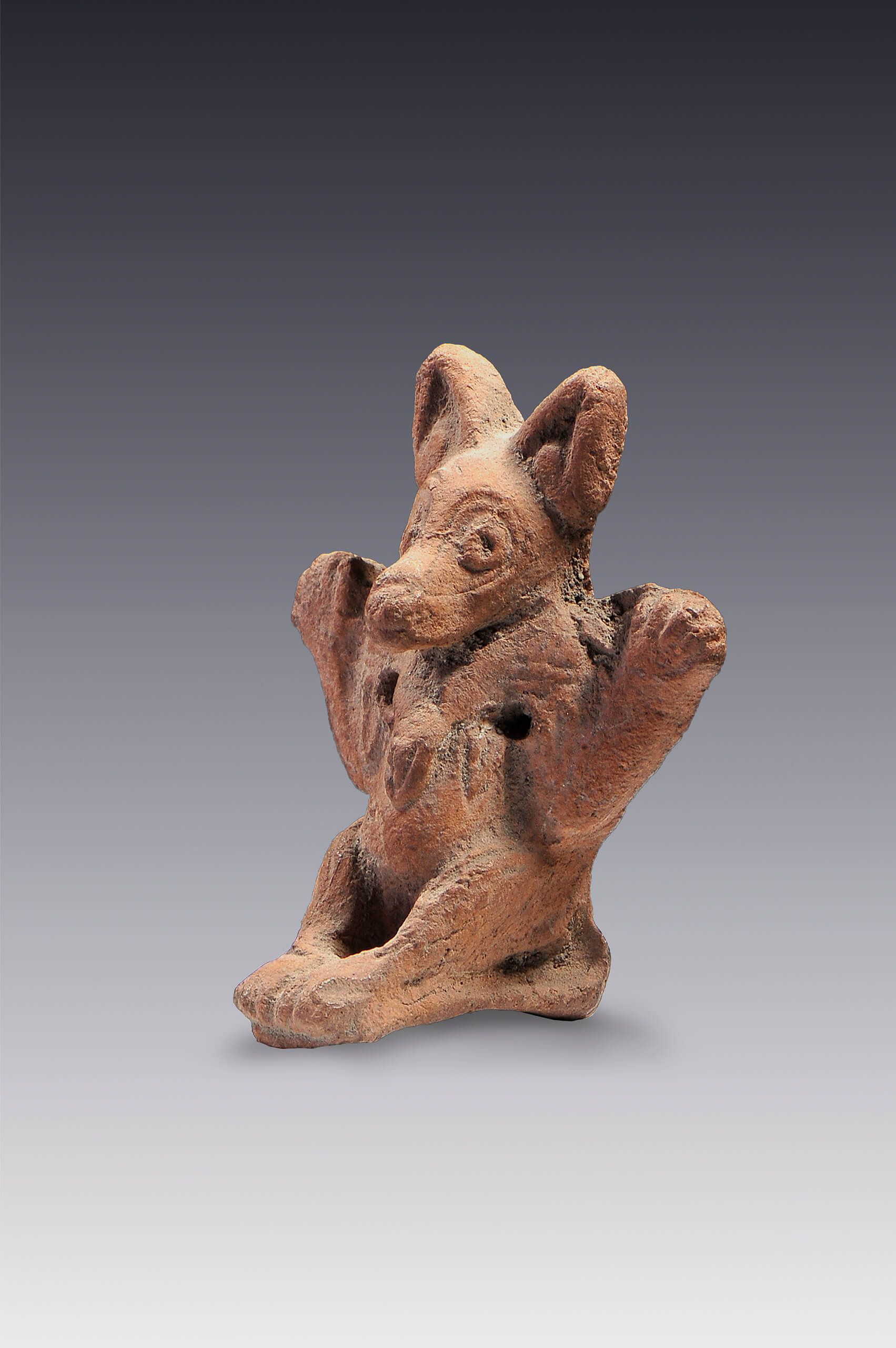 Figurilla de tlacuache | El México antiguo. Salas de Arte Prehispánico | Museo Amparo, Puebla