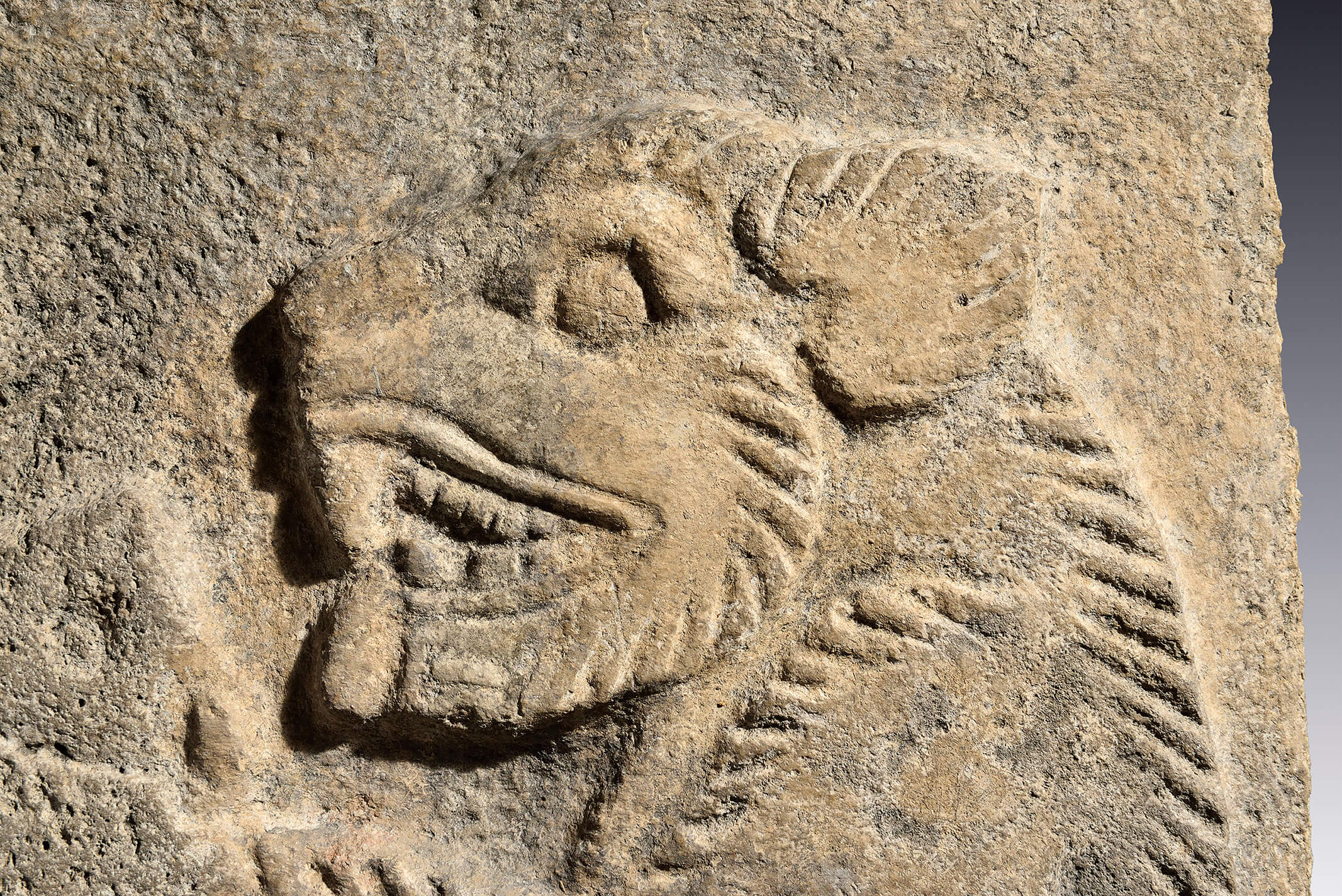 Estela con roedor comiendo | El México antiguo. Salas de Arte Prehispánico | Museo Amparo, Puebla