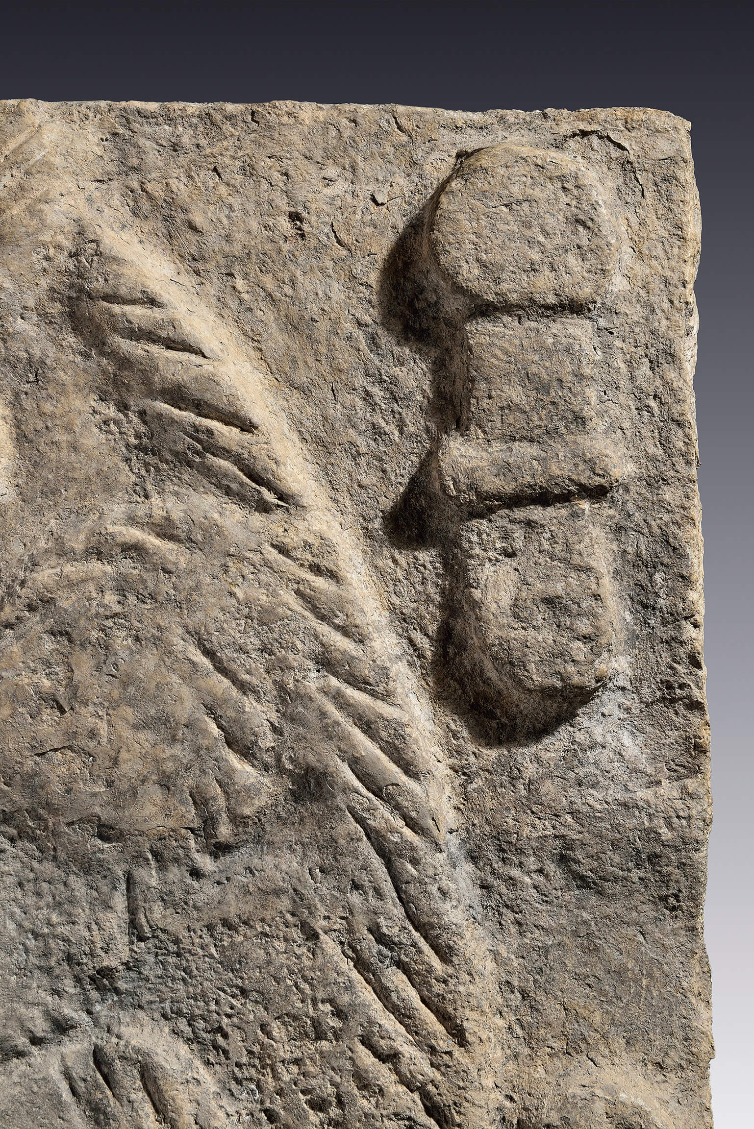 Estela con roedor erguido | El México antiguo. Salas de Arte Prehispánico | Museo Amparo, Puebla
