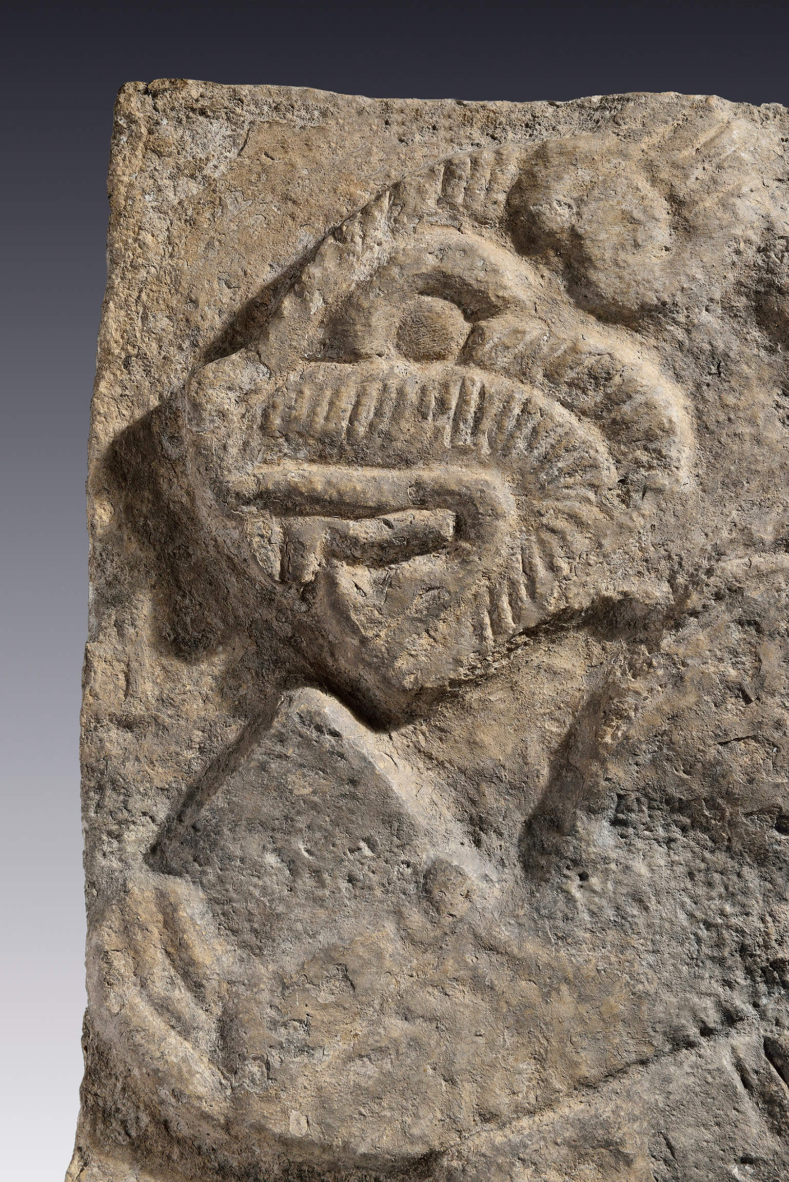 Estela con roedor erguido | El México antiguo. Salas de Arte Prehispánico | Museo Amparo, Puebla