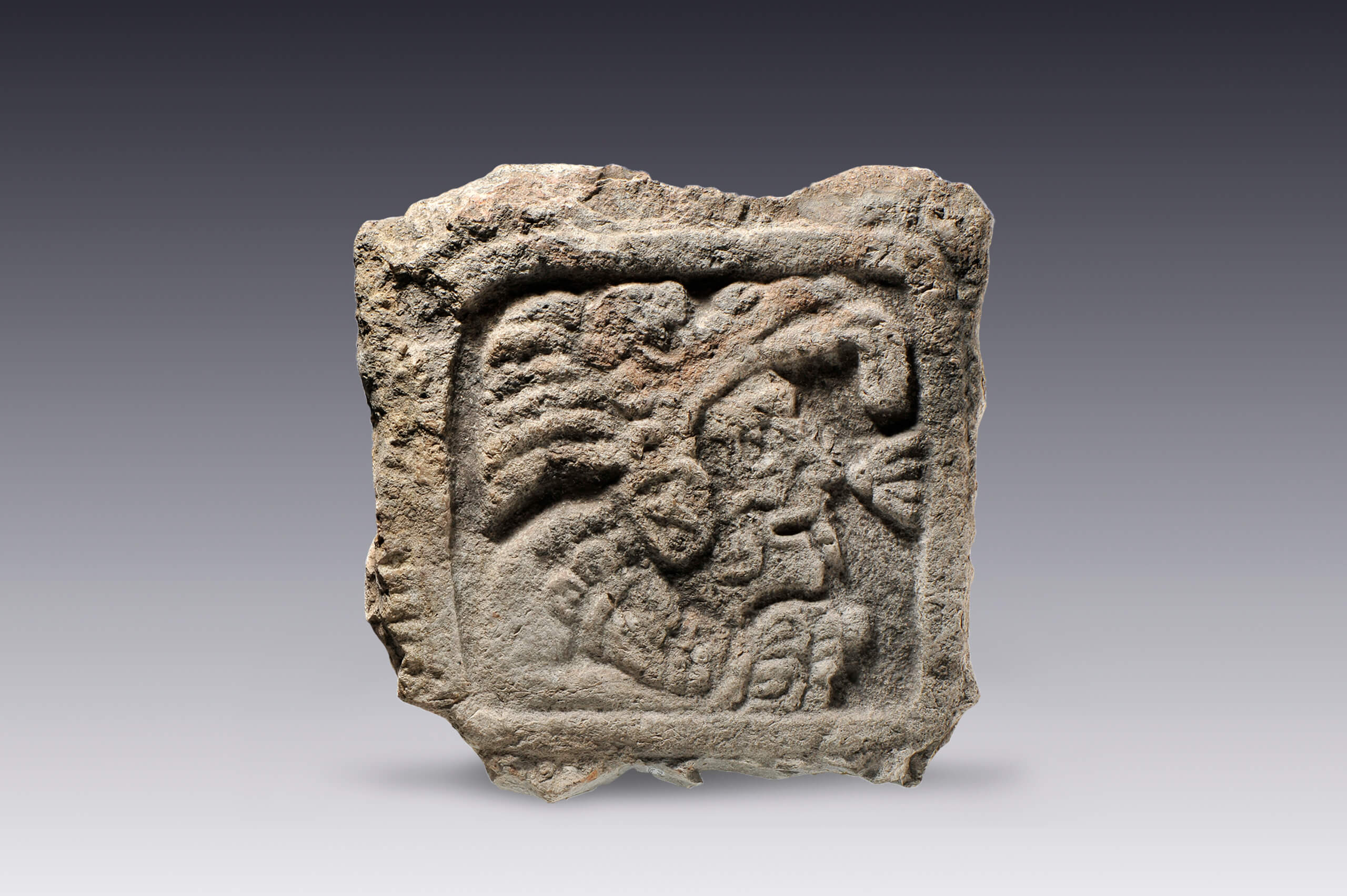 Deidad con tocado de ave | El México antiguo. Salas de Arte Prehispánico | Museo Amparo, Puebla
