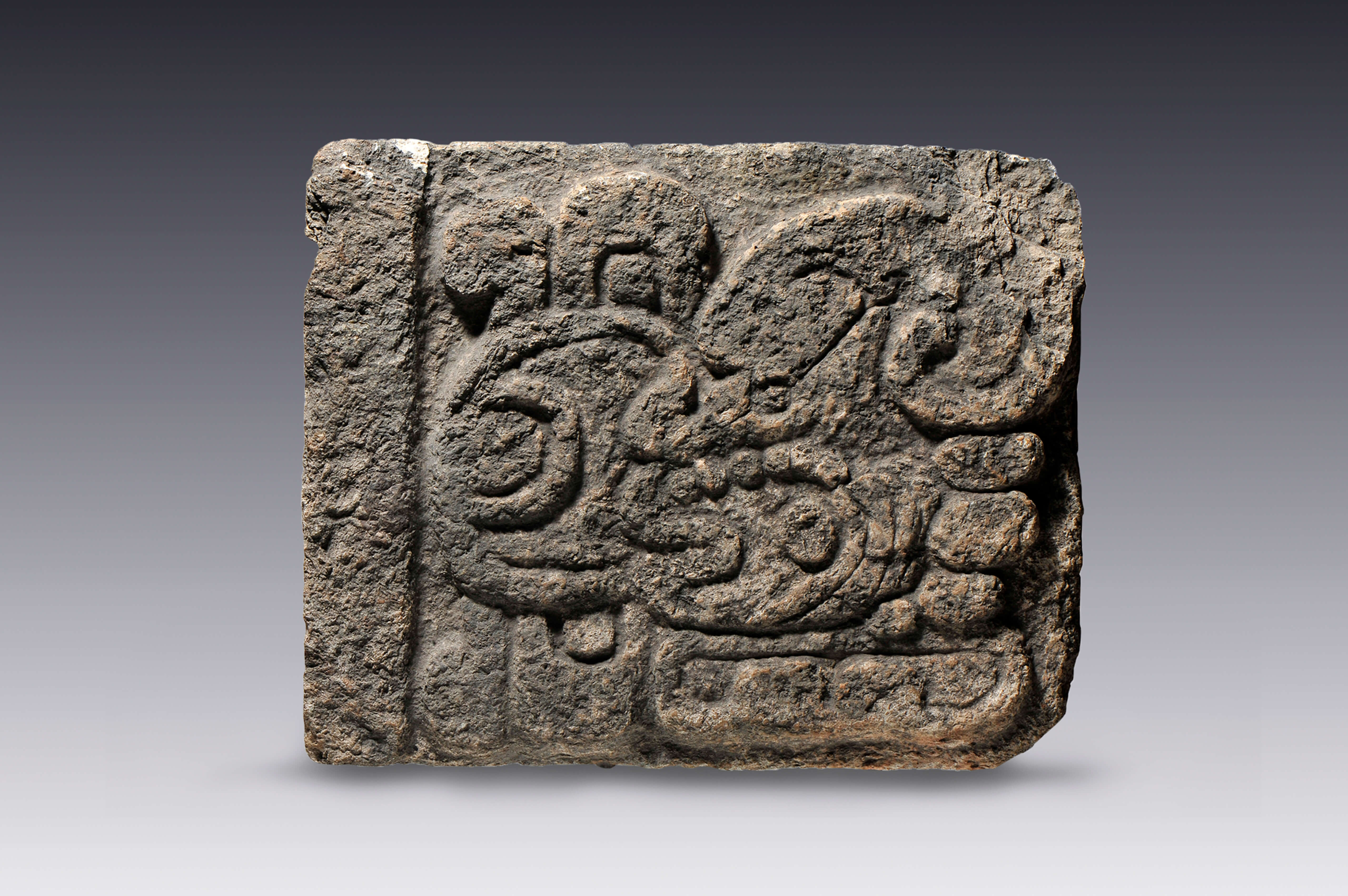 Bloque con escritura jeroglífica | El México antiguo. Salas de Arte Prehispánico | Museo Amparo, Puebla