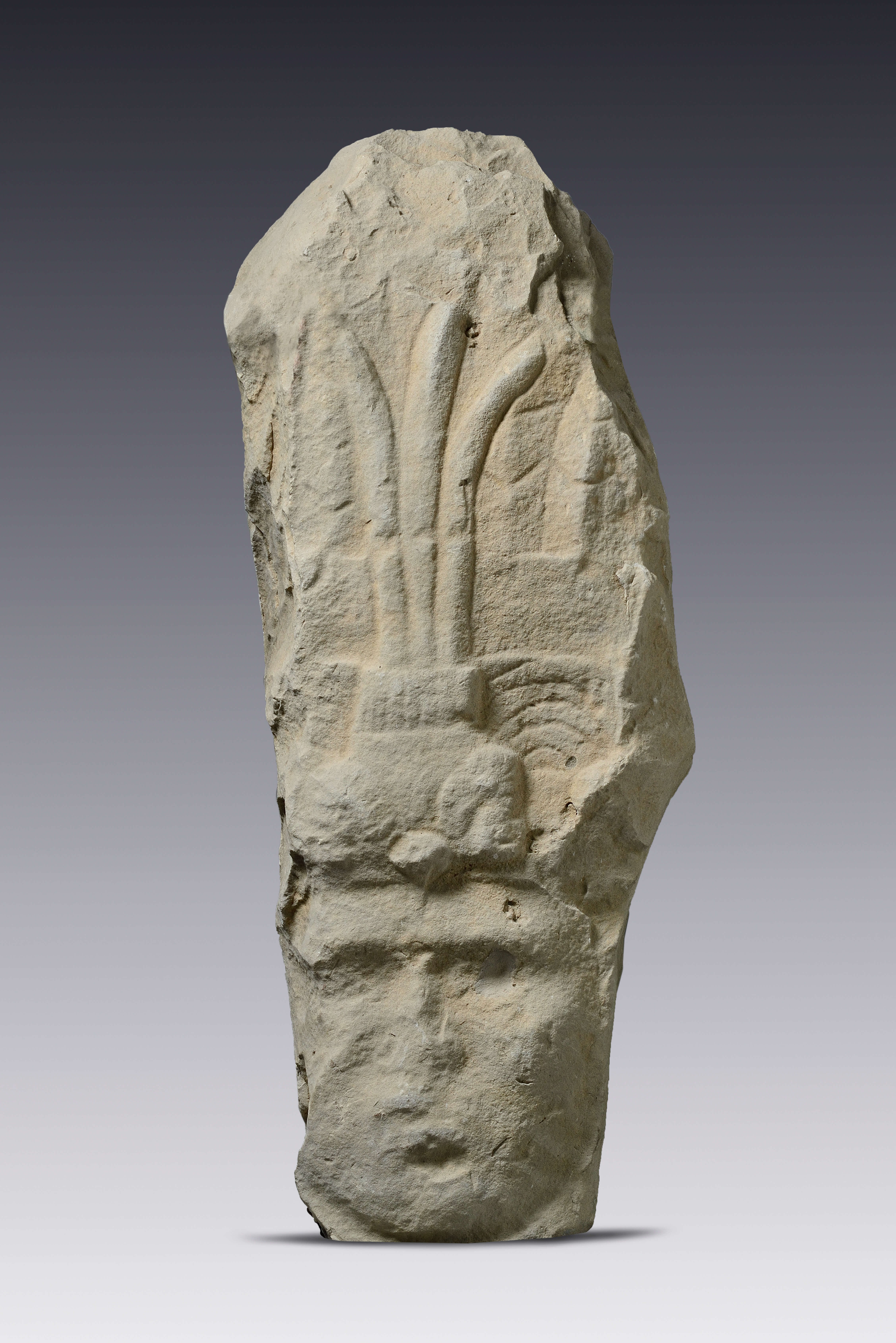 Fragmento de escultura que representa a un gobernante | Divinos Señores de la Montaña. La Sierra Norte de Puebla en tiempos de El Tajín | Museo Amparo, Puebla