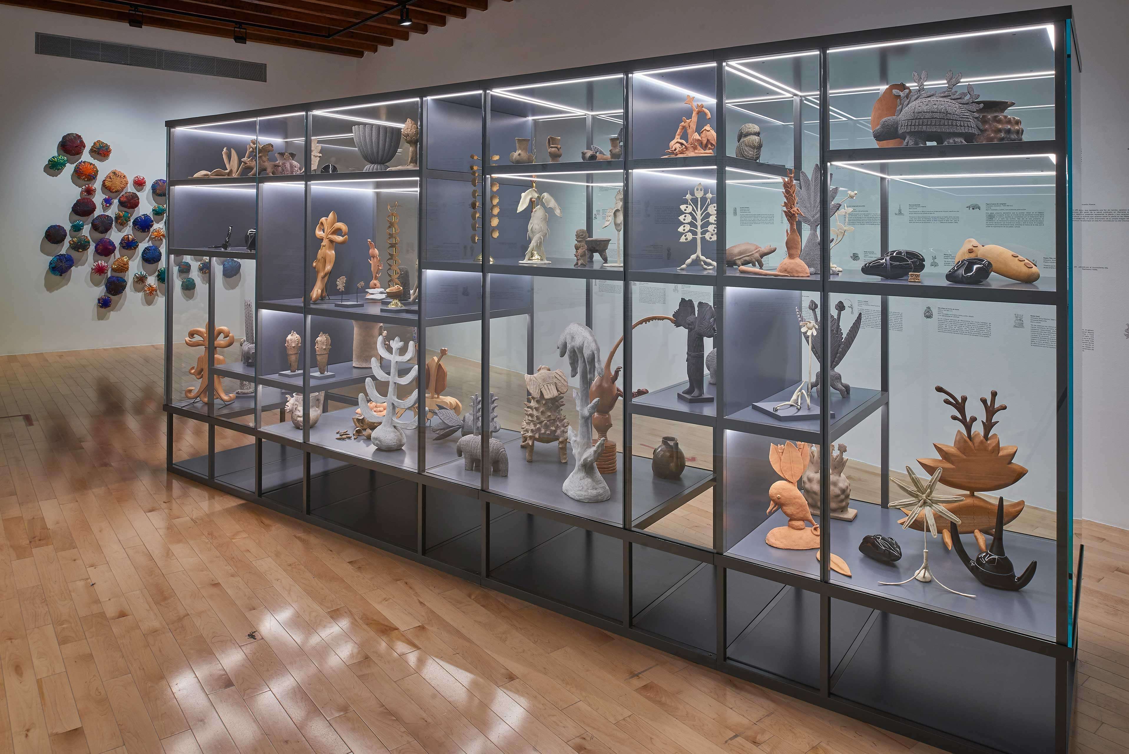 Imaginario vegetal | El tiempo en las cosas. Salas de Arte Contemporáneo | Museo Amparo, Puebla