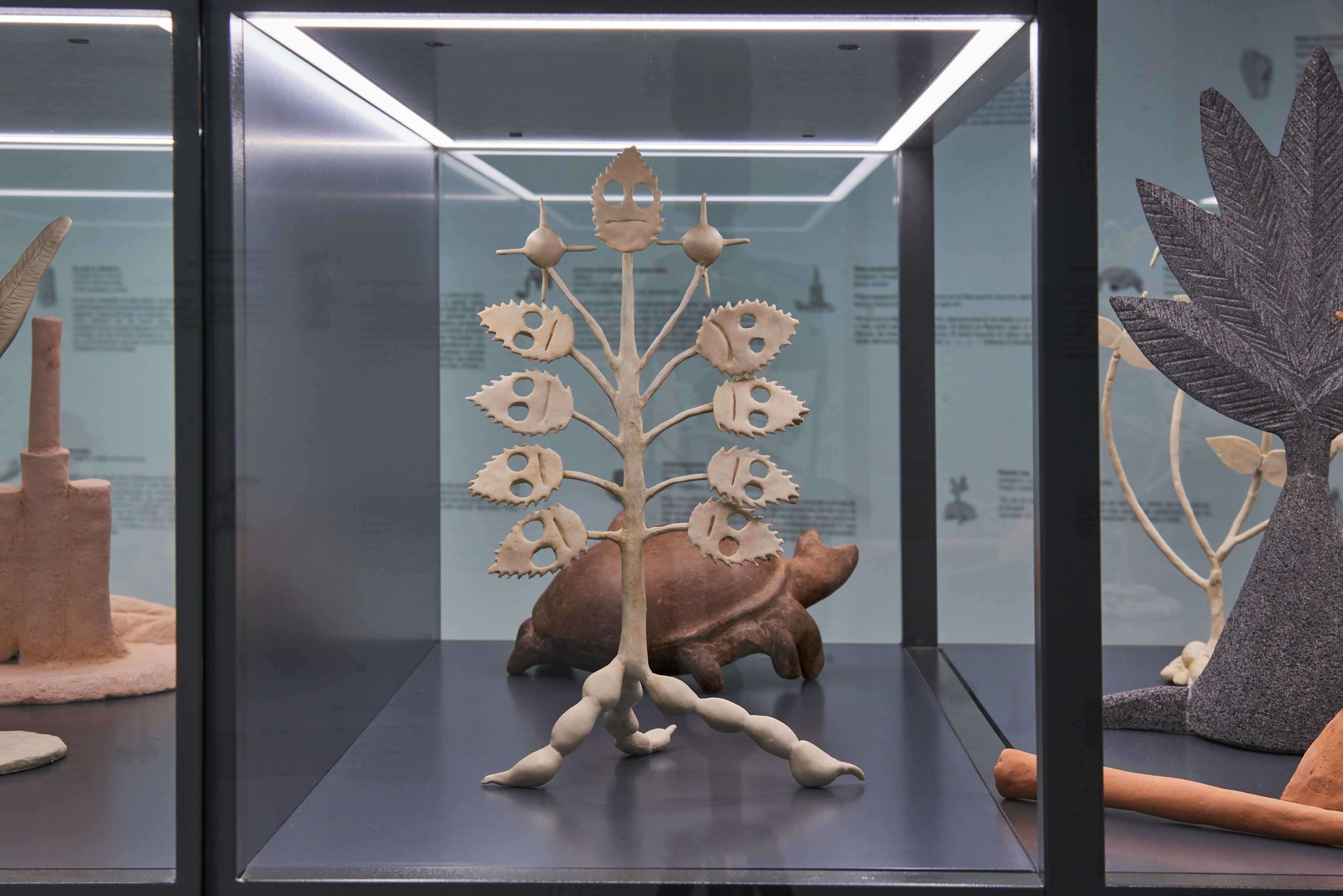 Imaginario vegetal | El tiempo en las cosas. Salas de Arte Contemporáneo | Museo Amparo, Puebla