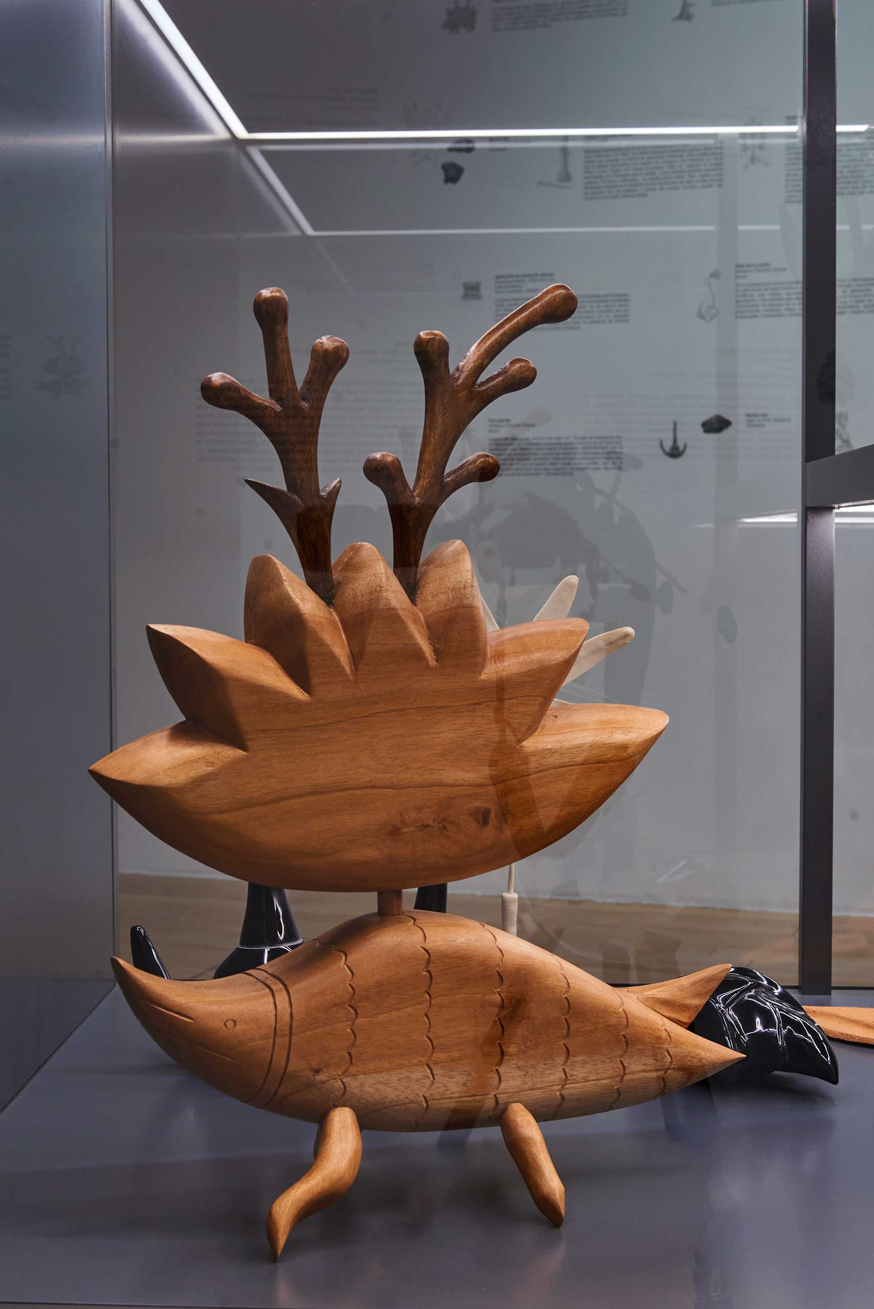 Imaginario vegetal | El tiempo en las cosas II. Salas de Arte Contemporáneo | Museo Amparo, Puebla