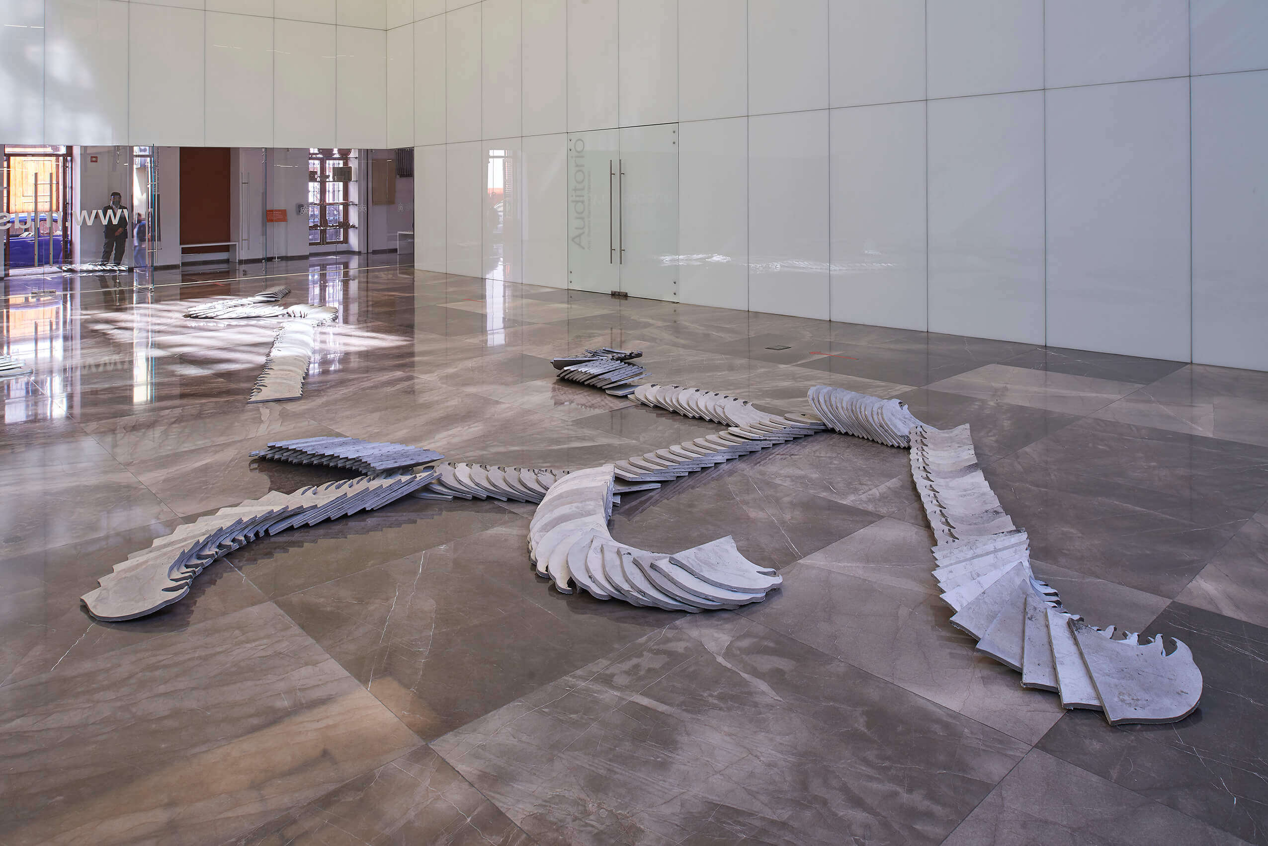 Incorruptibles | El tiempo en las cosas. Salas de Arte Contemporáneo | Museo Amparo, Puebla